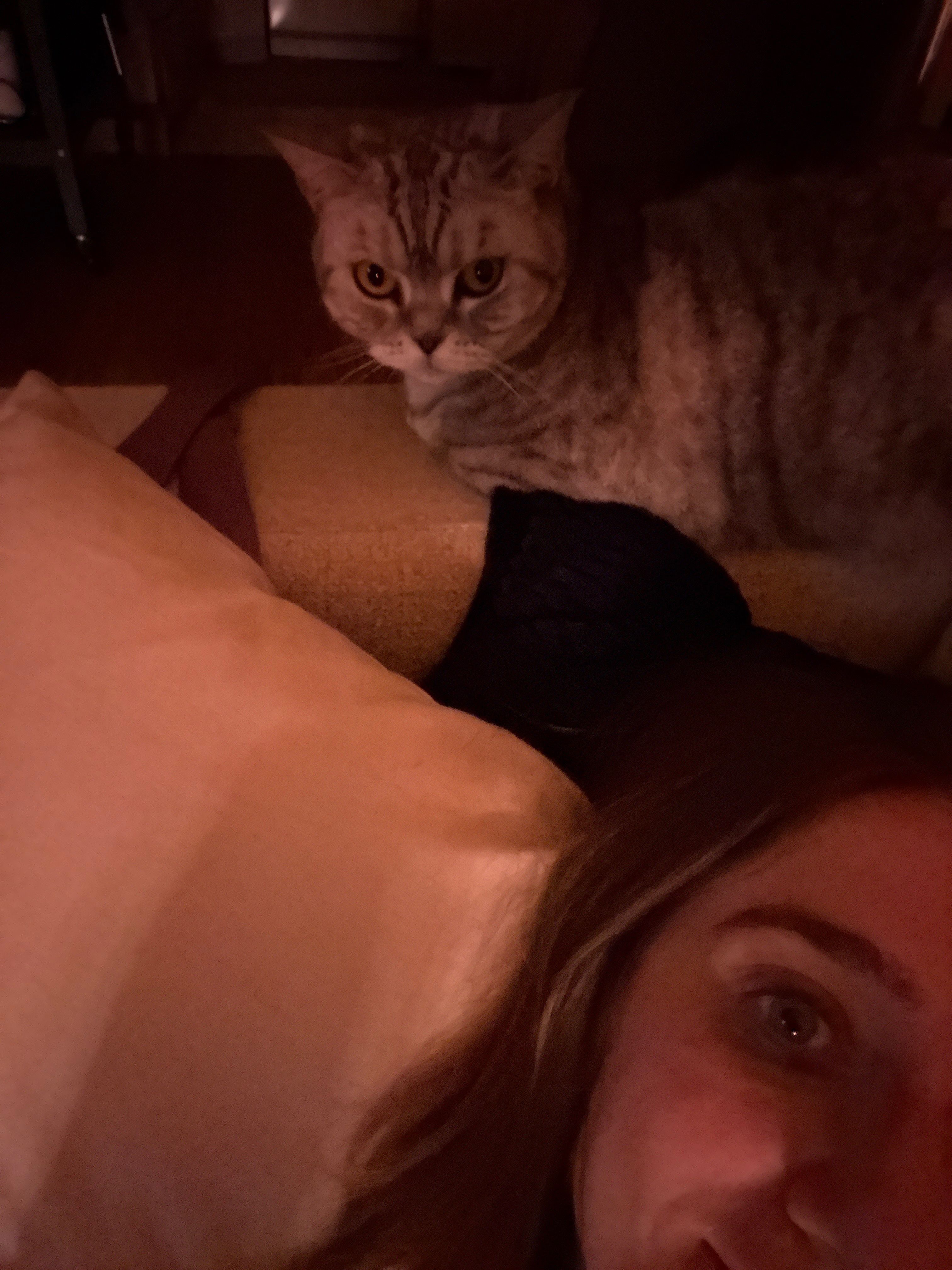 image-7