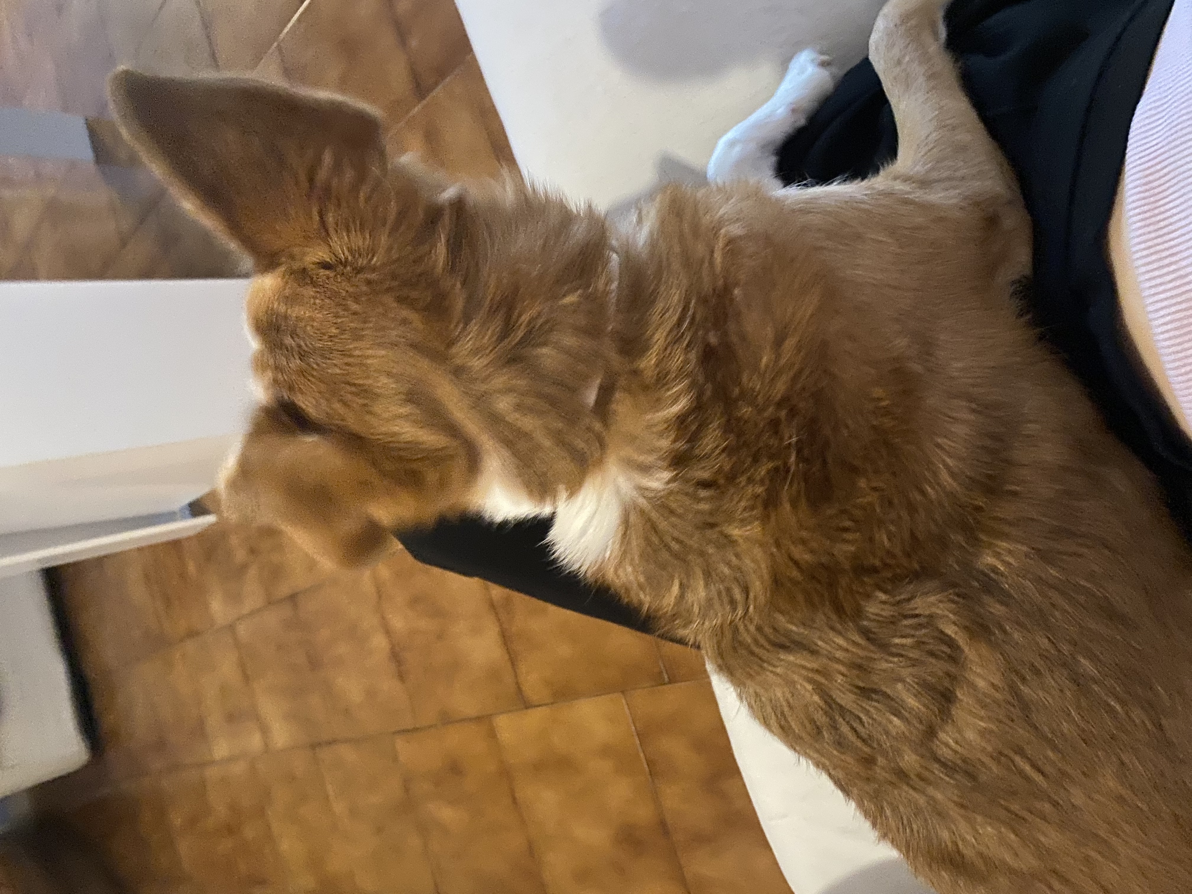 image-6
