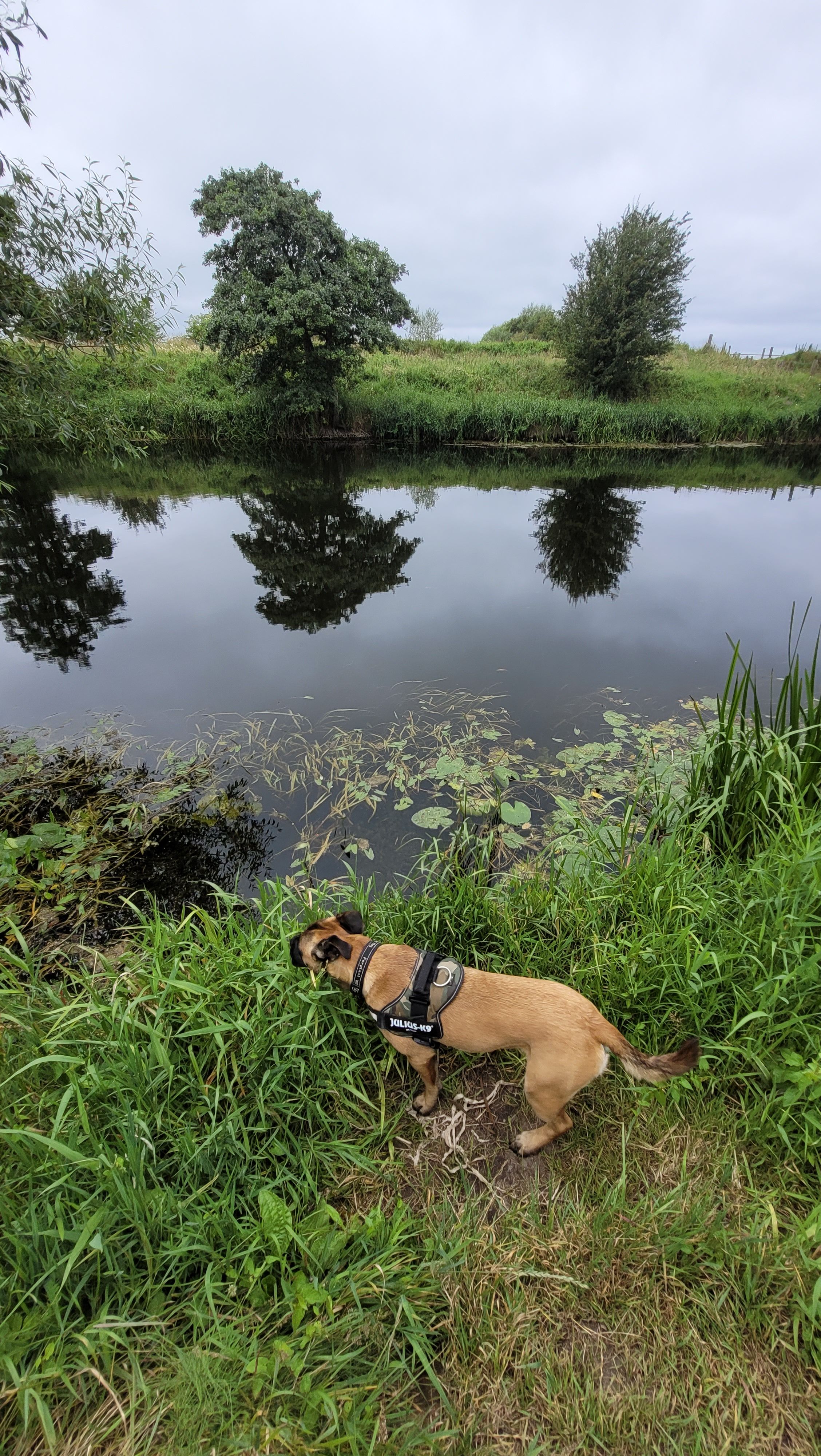 image-5