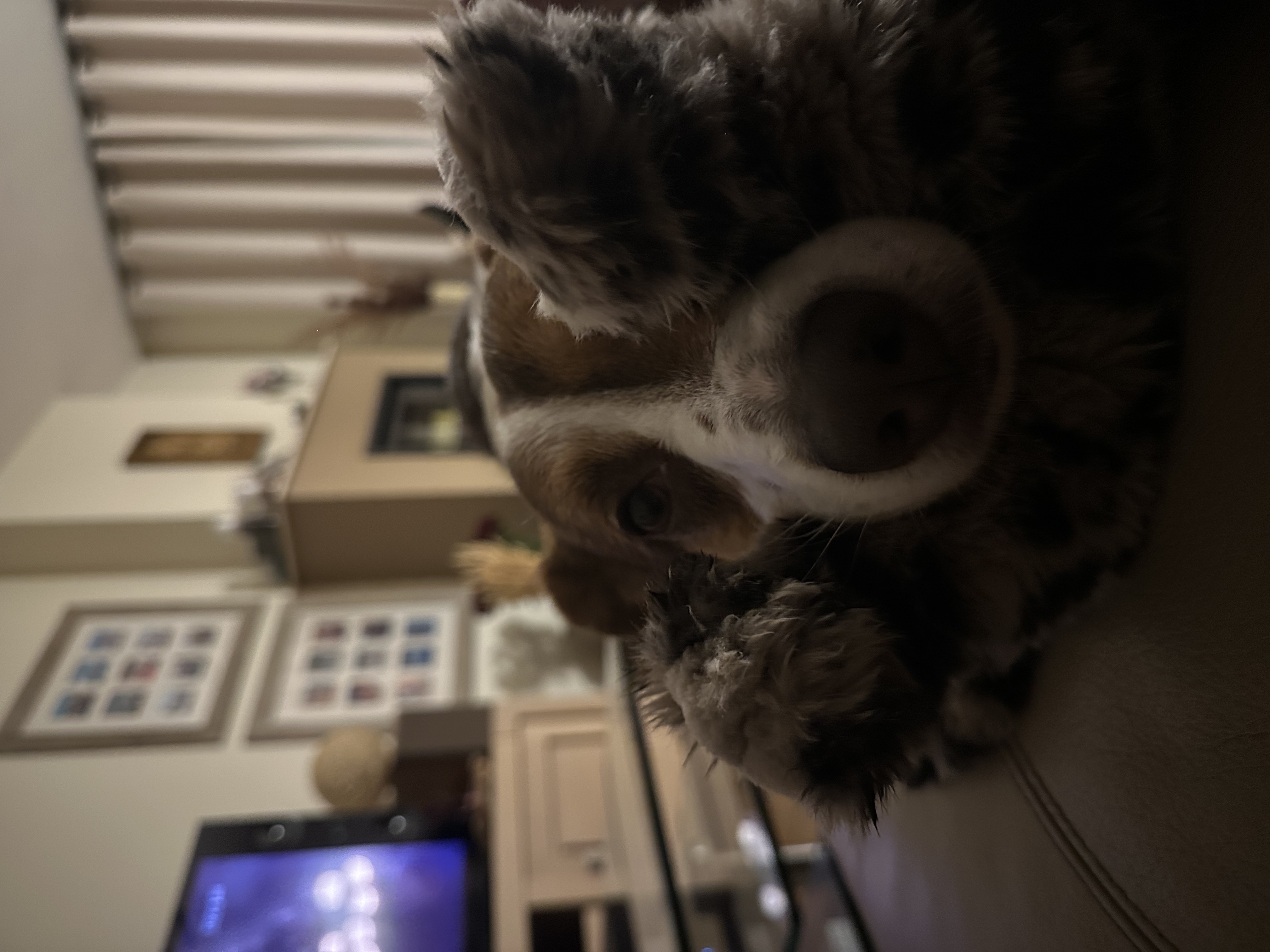 image-5