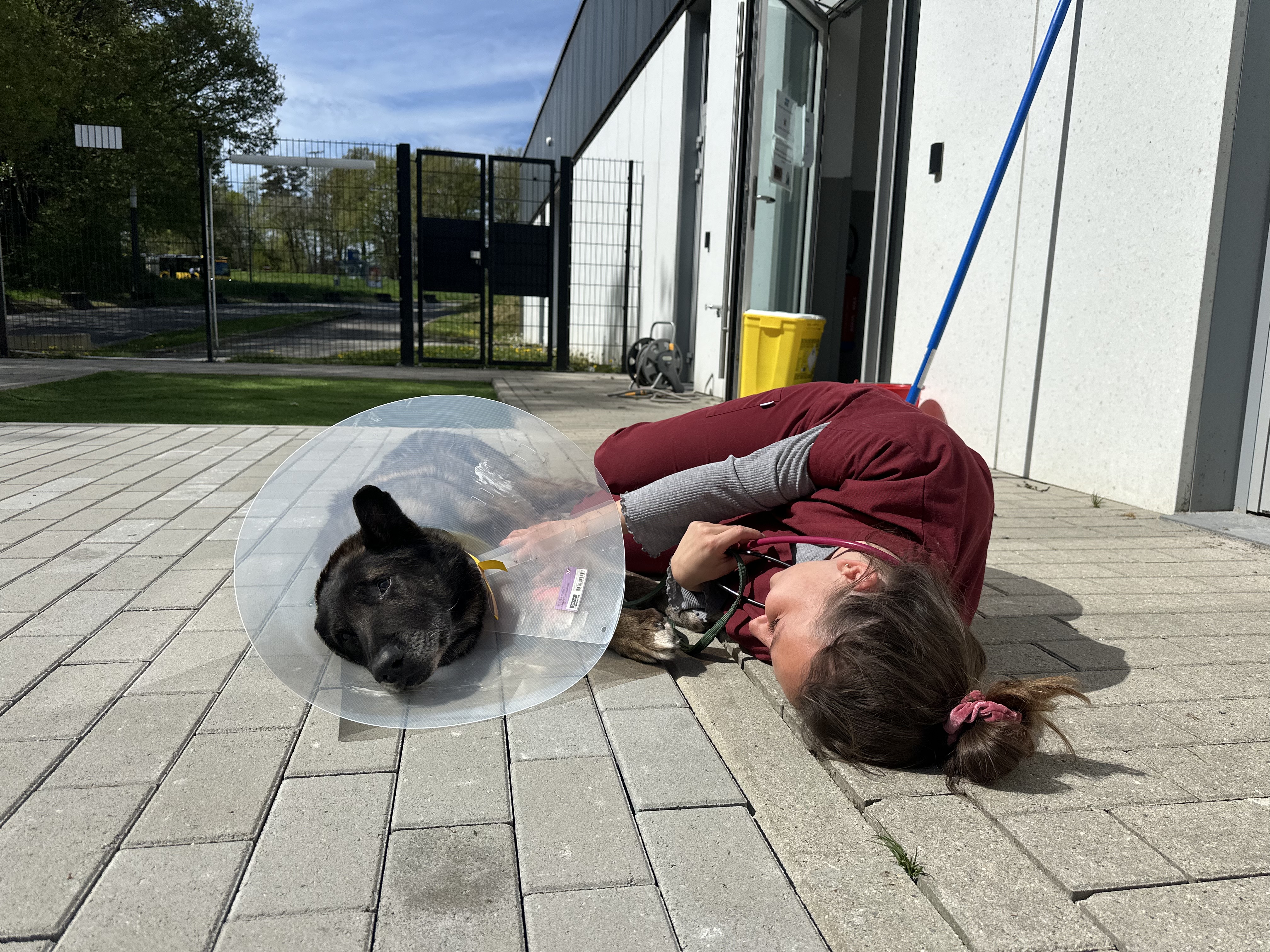 image-9