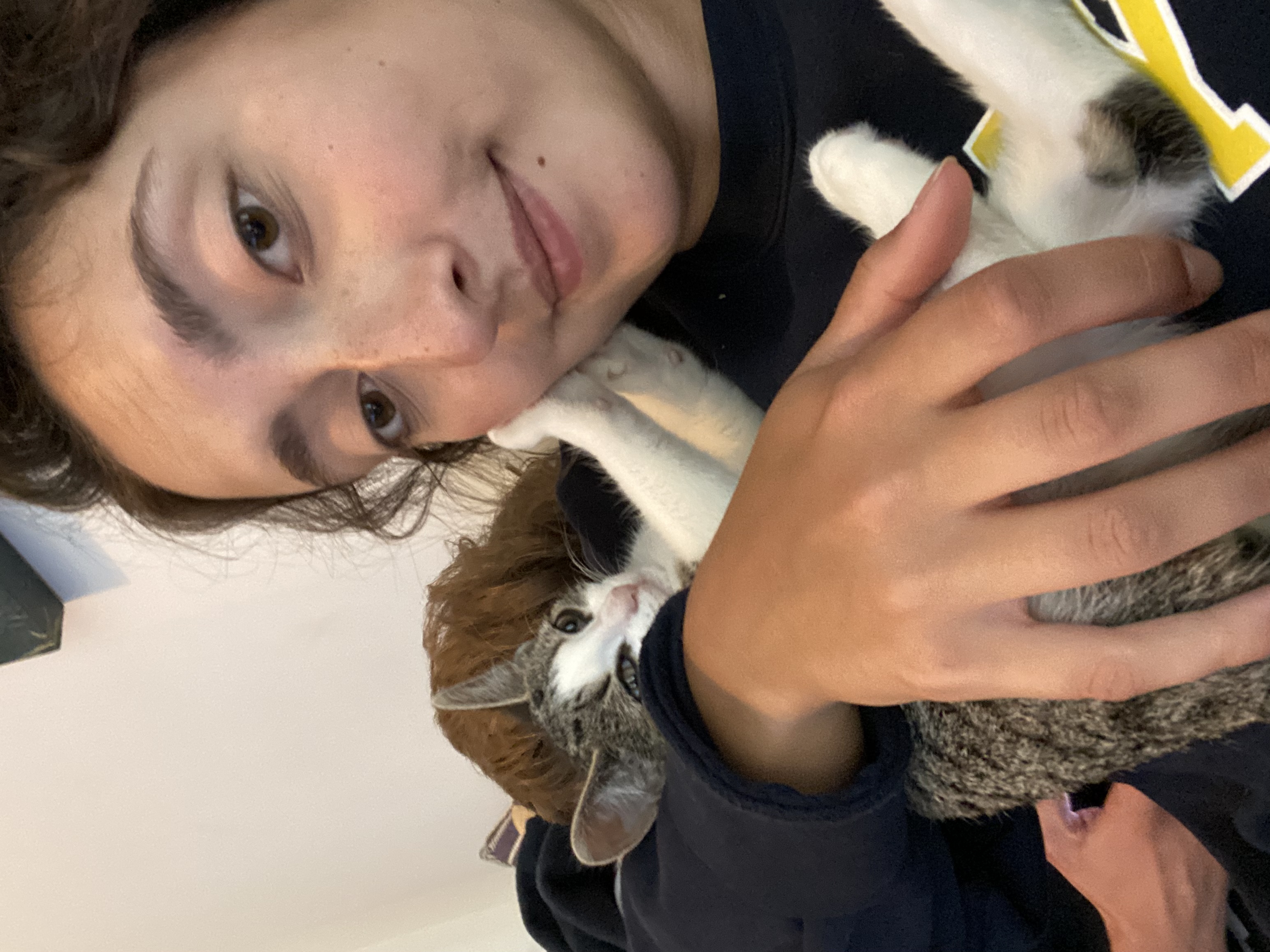 image-8
