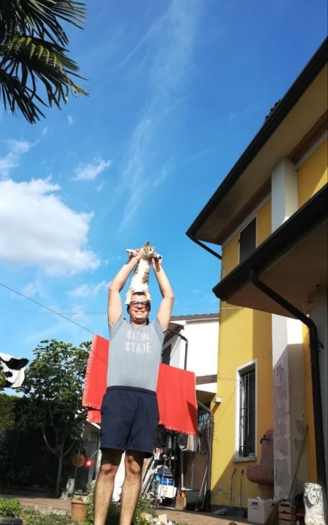 image-7