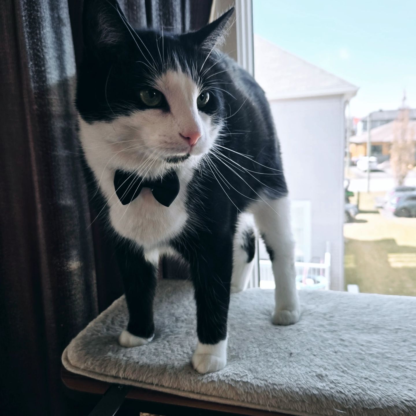 Otis