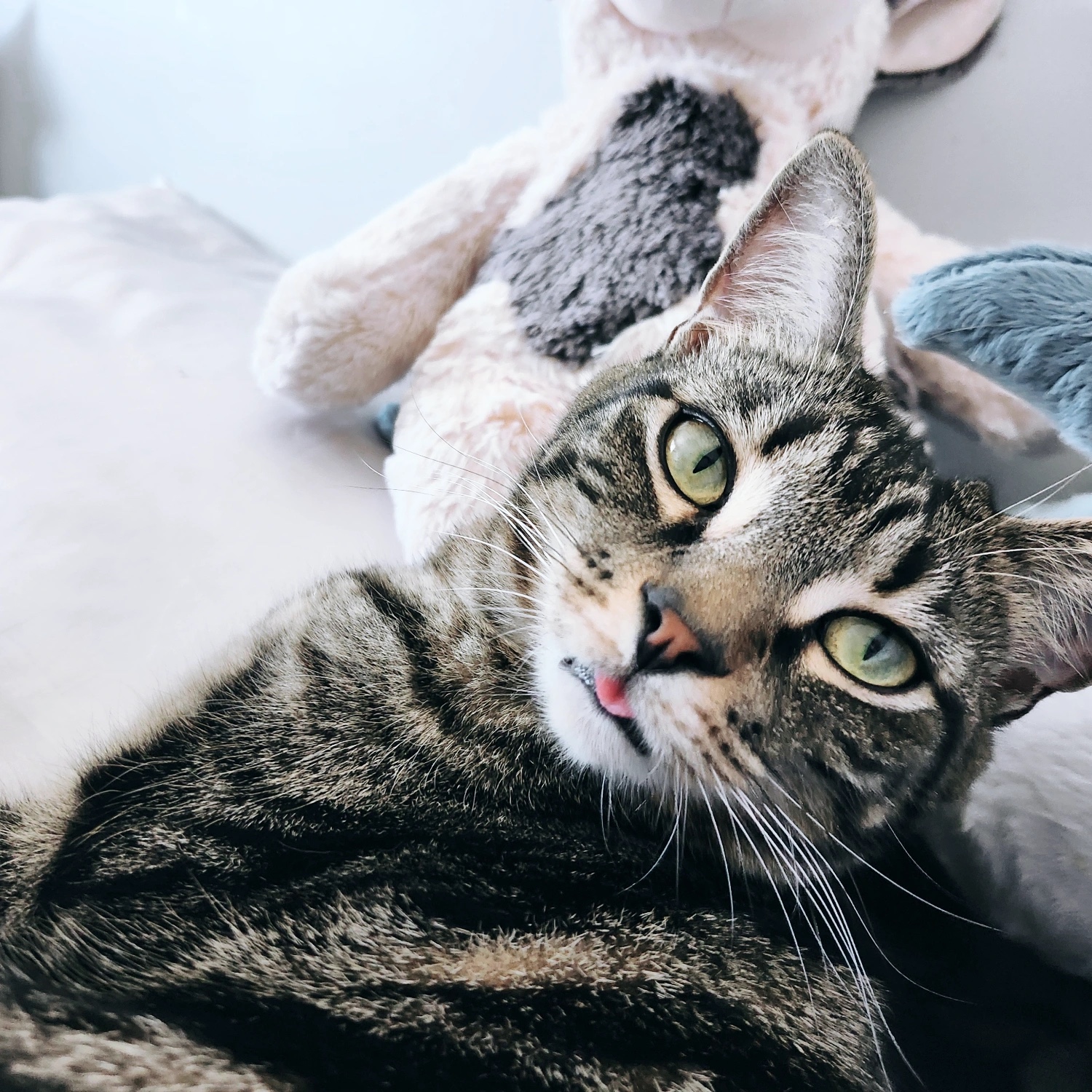 Axel