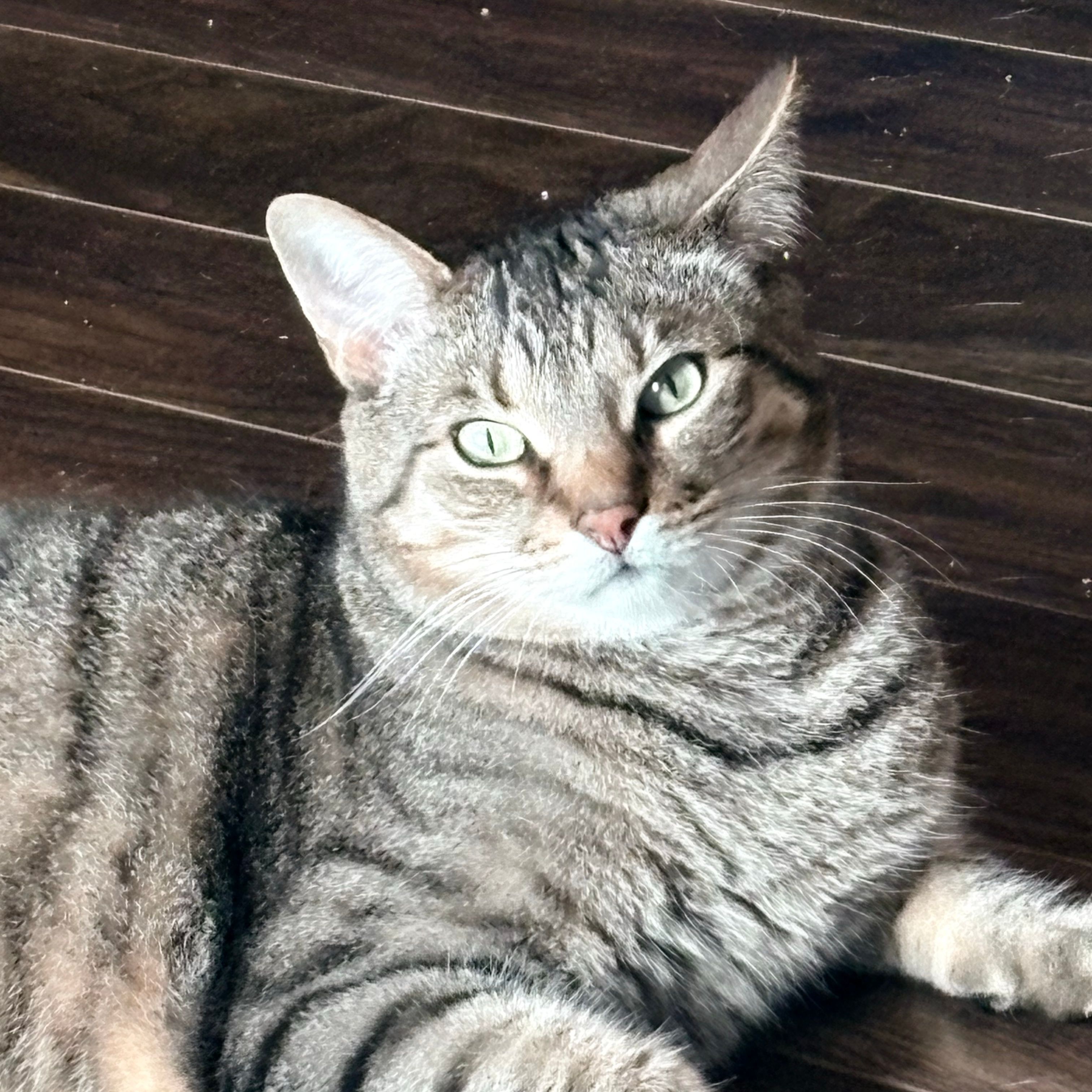 Charlie