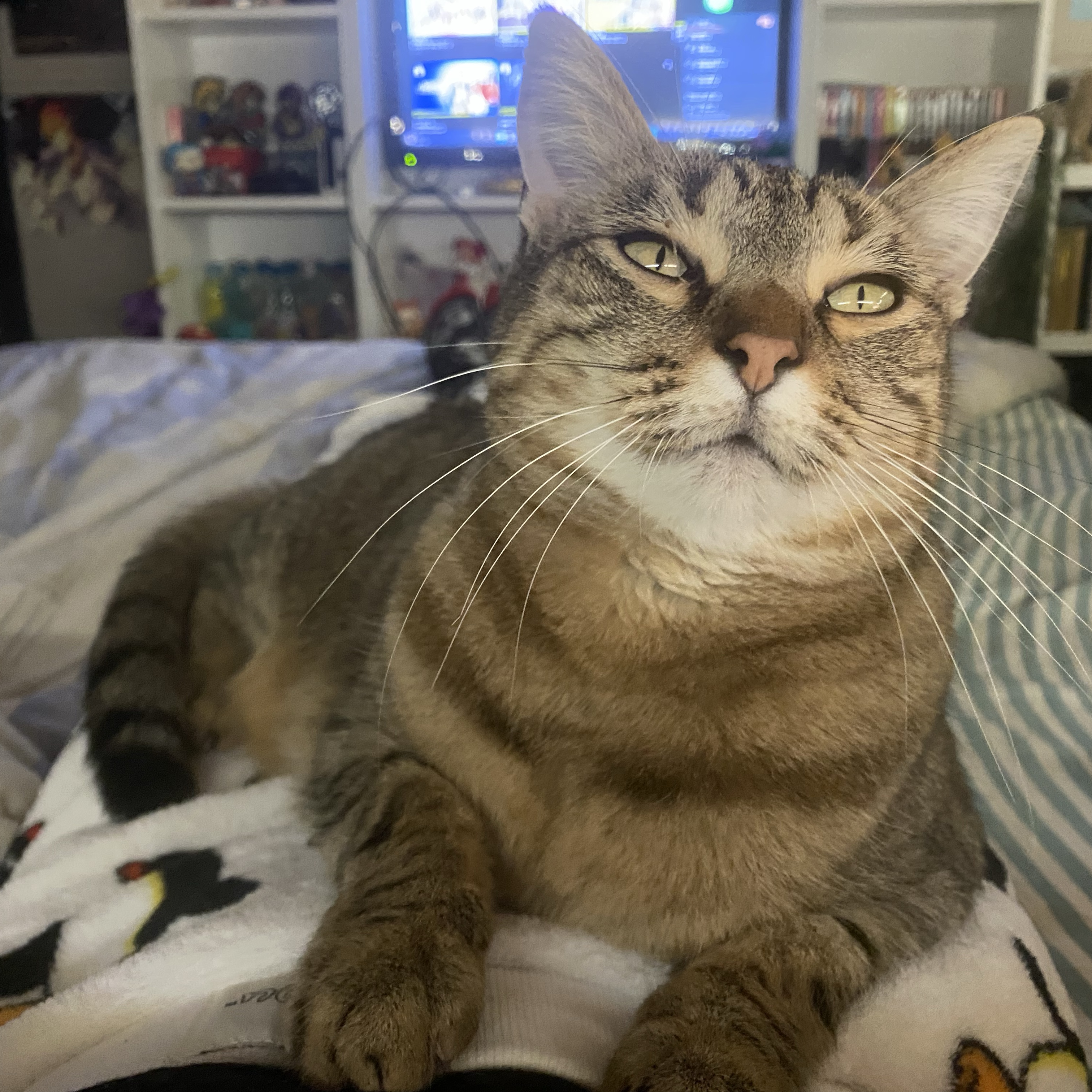 Nala