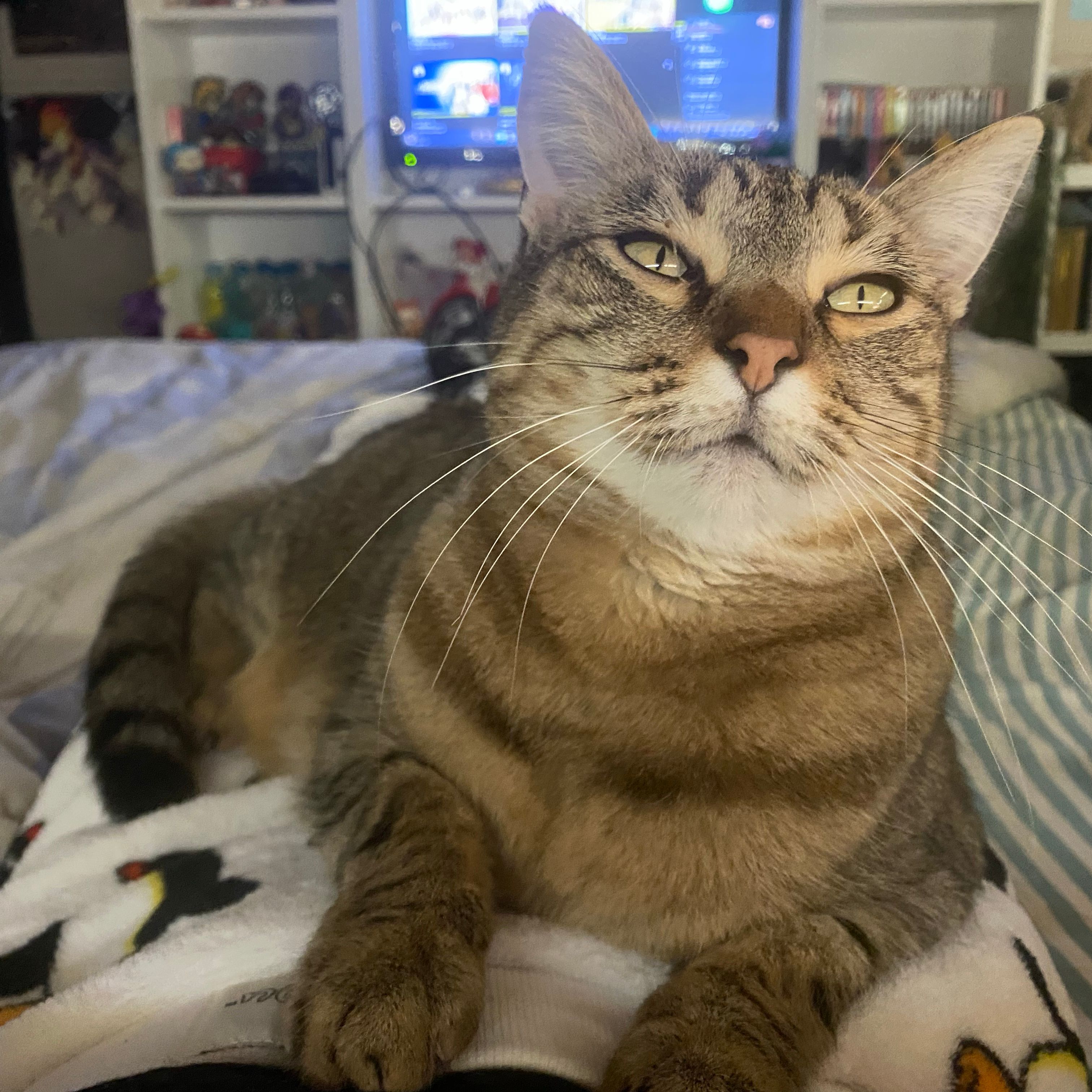 Nala