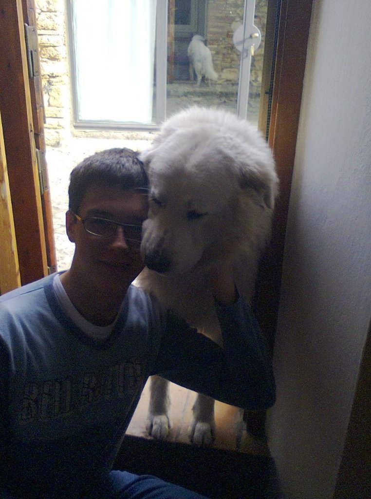 image-4