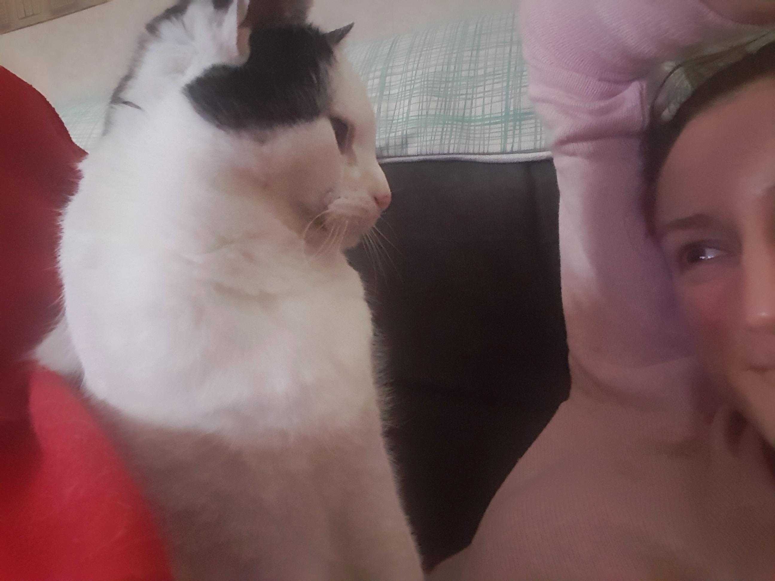 image-4