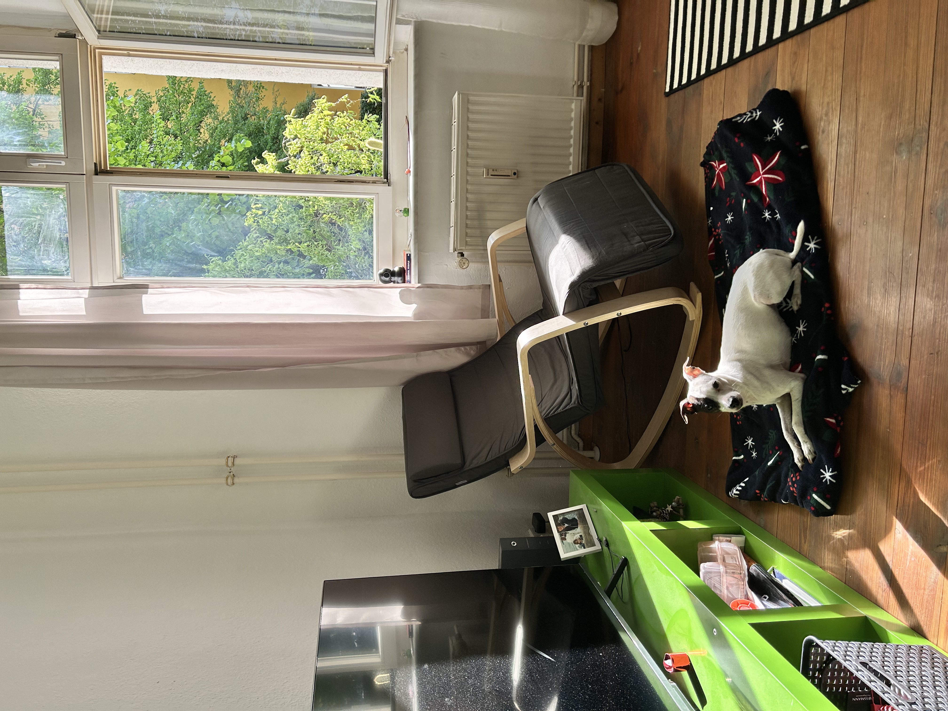 image-13