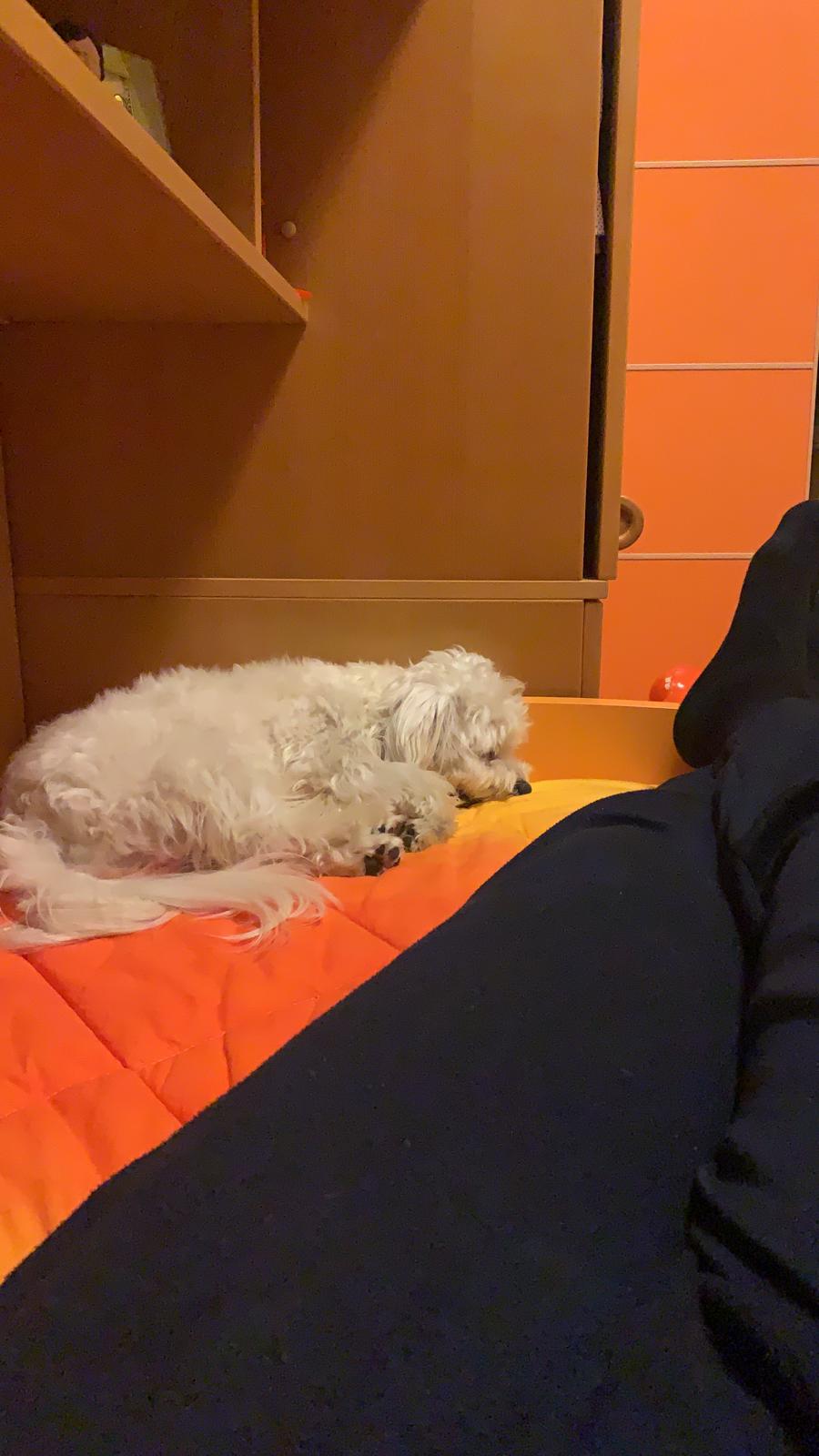 image-5
