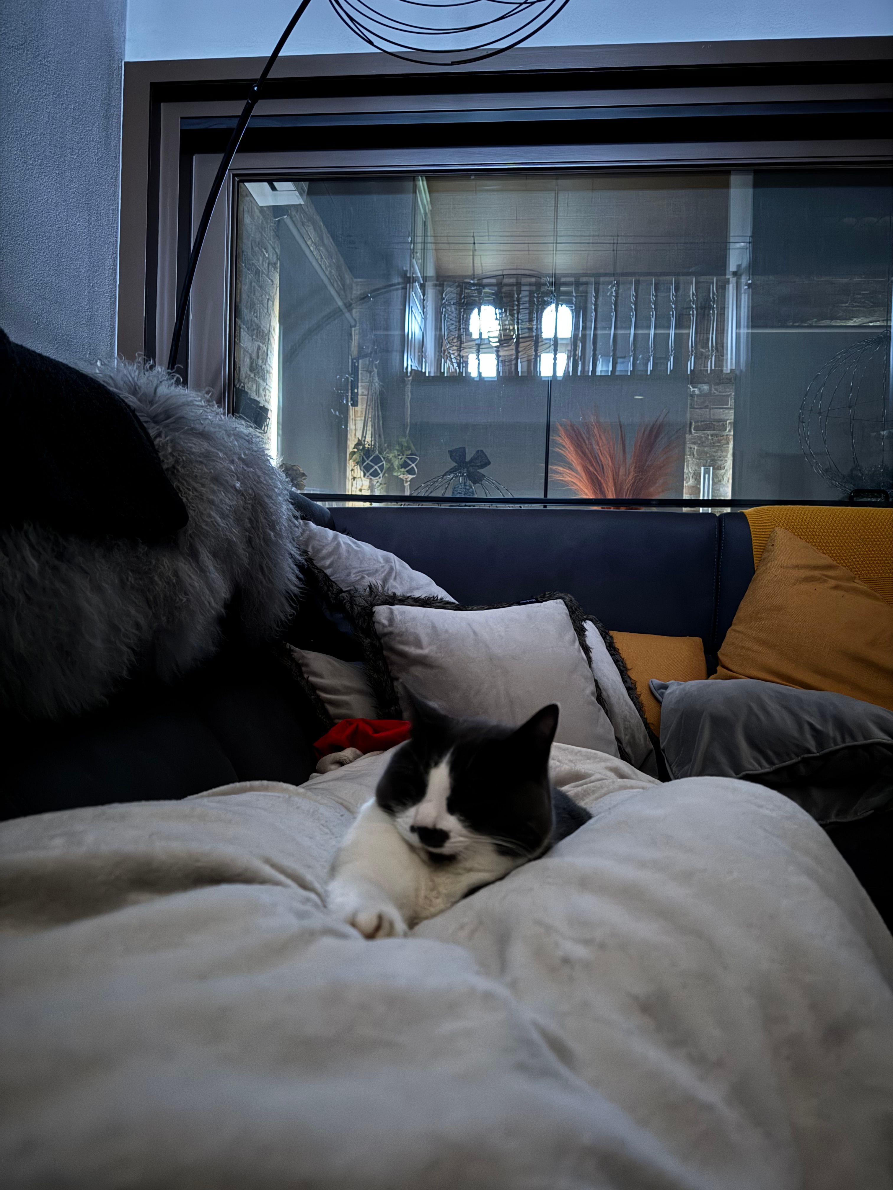 image-6