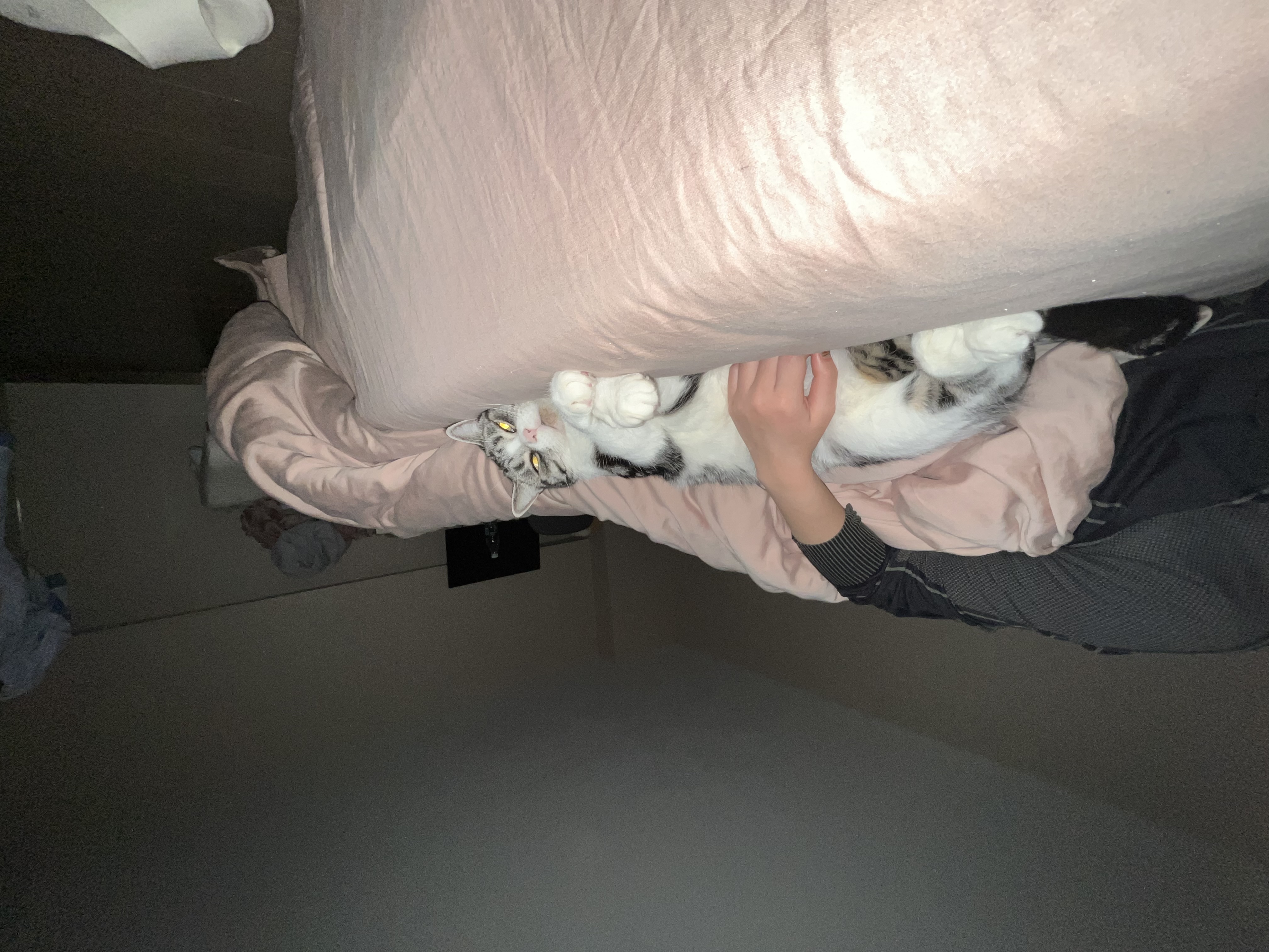 image-6