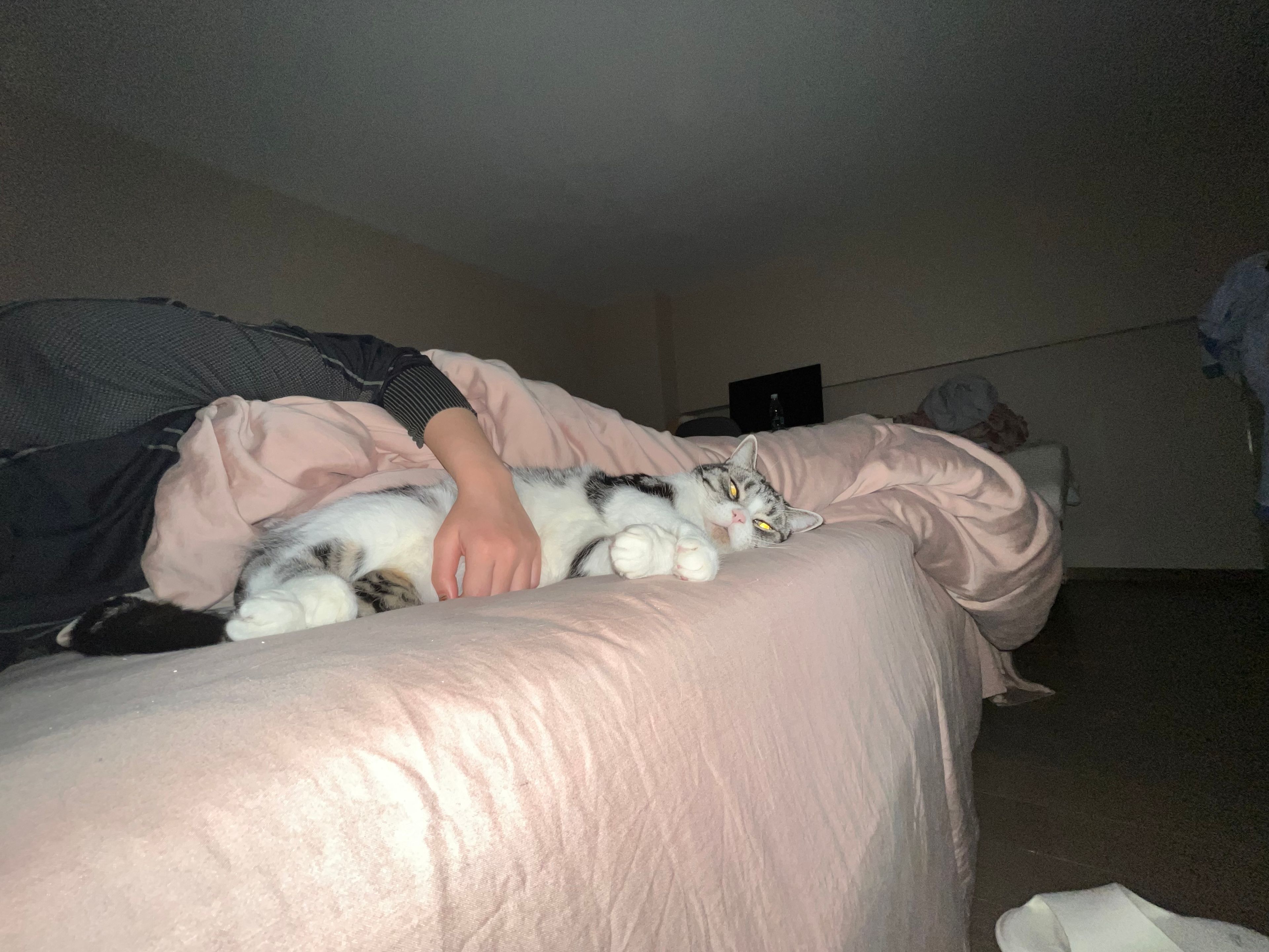 image-6
