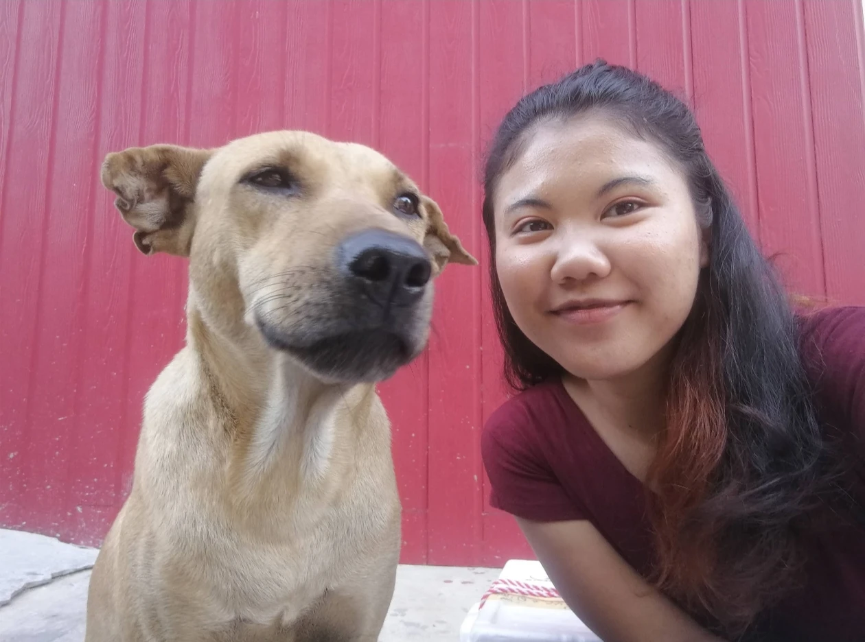 image-8