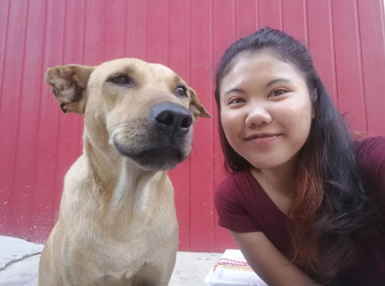 image-8