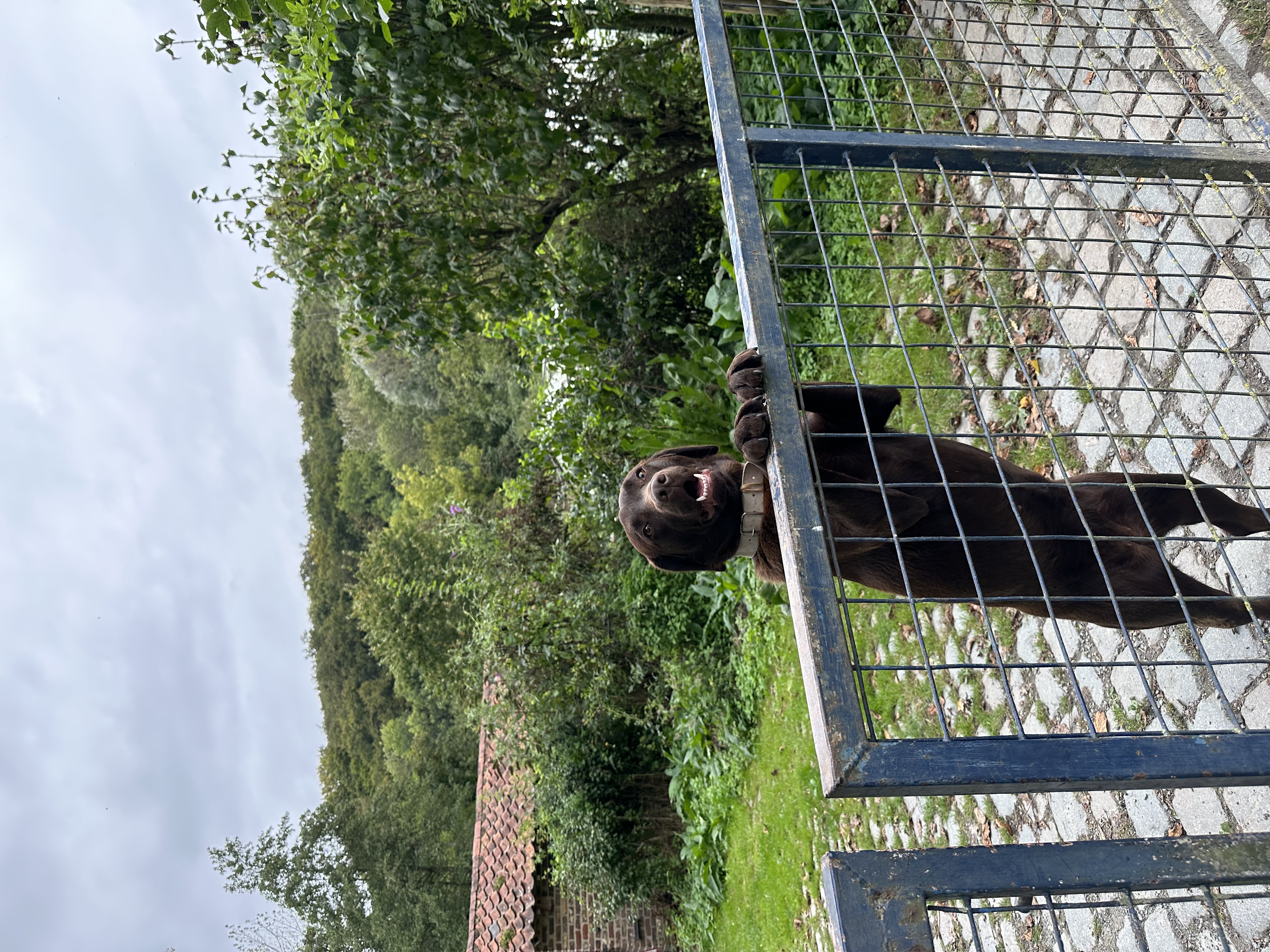 image-7