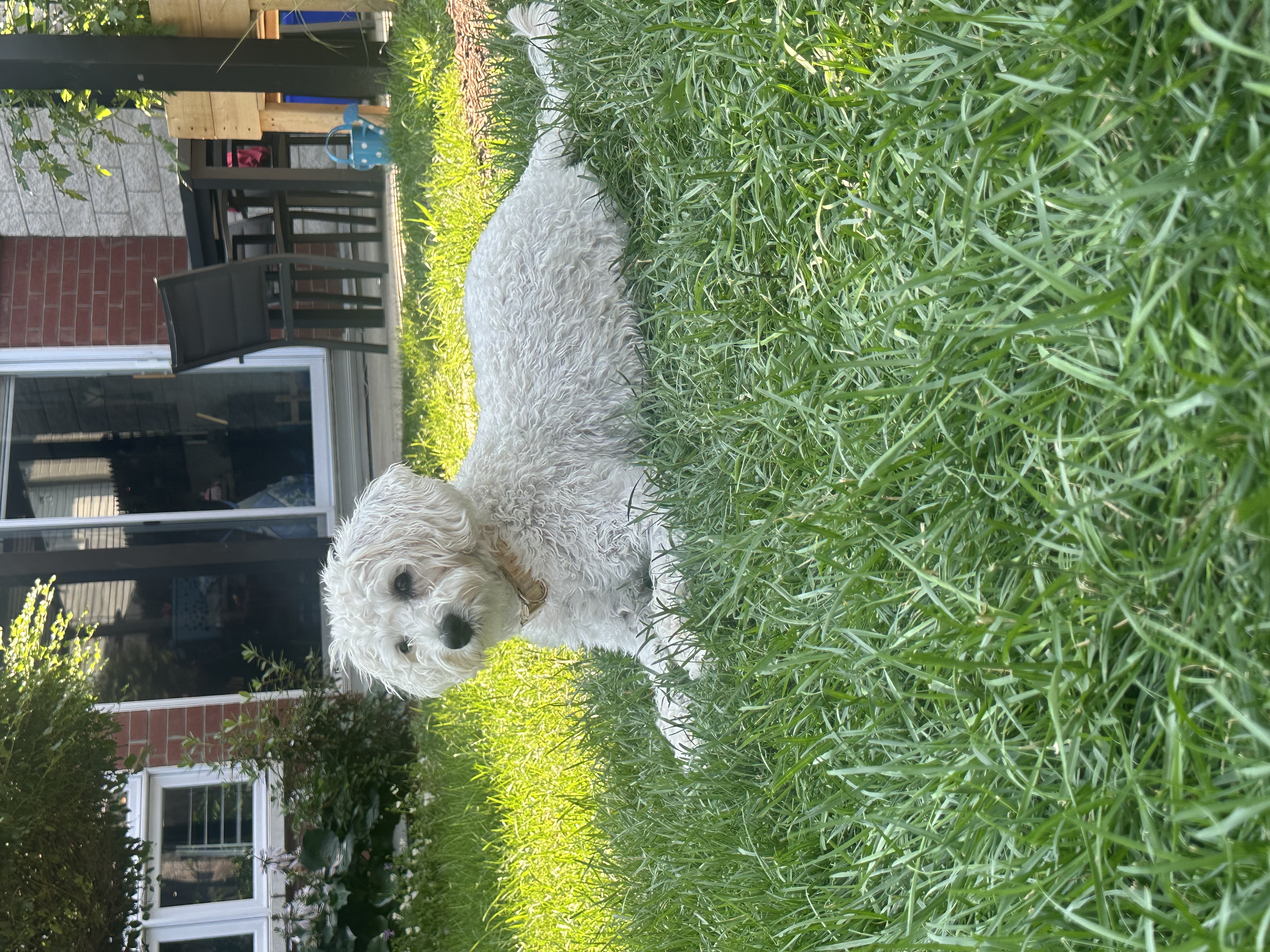 image-6