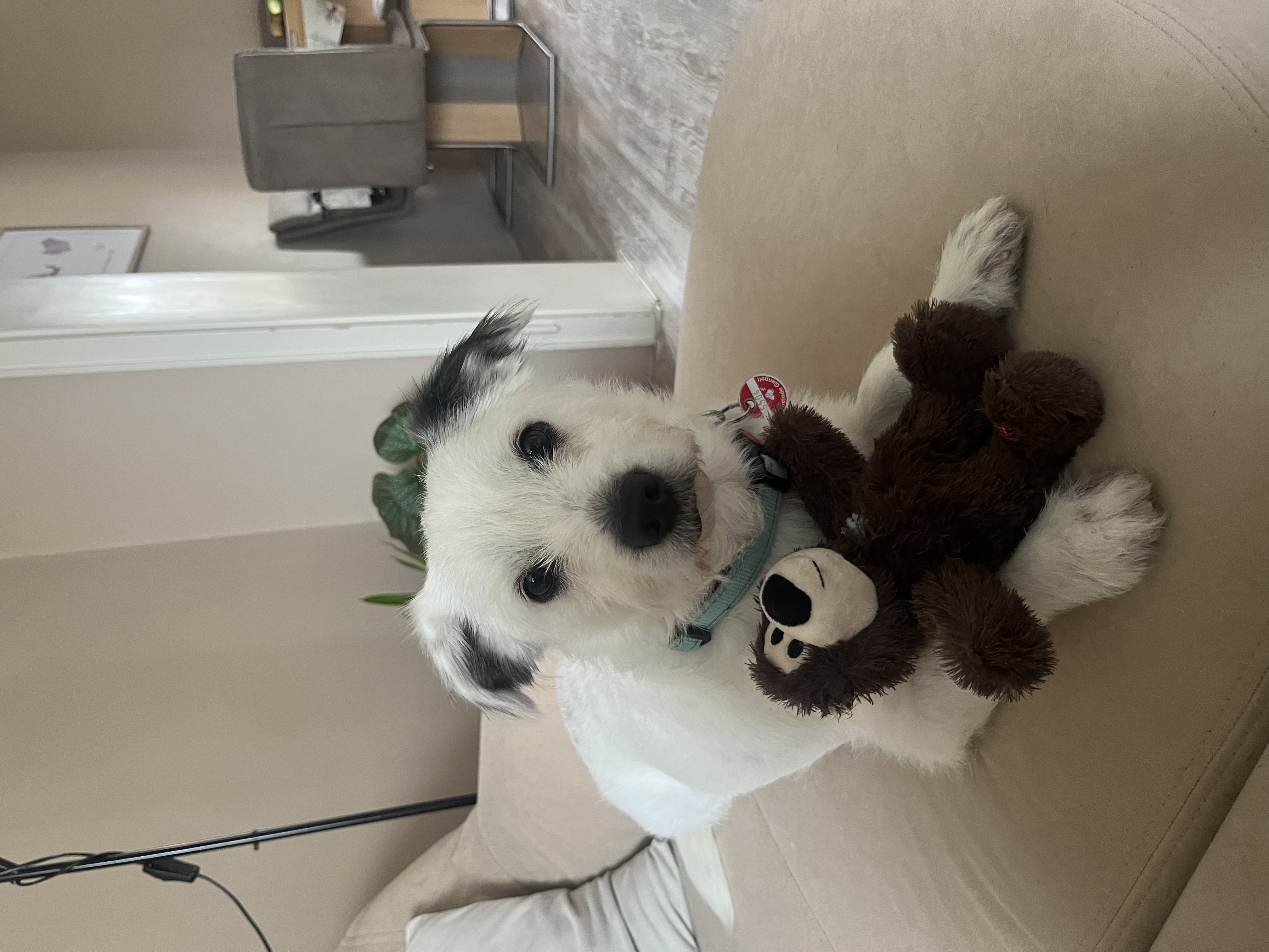 image-5