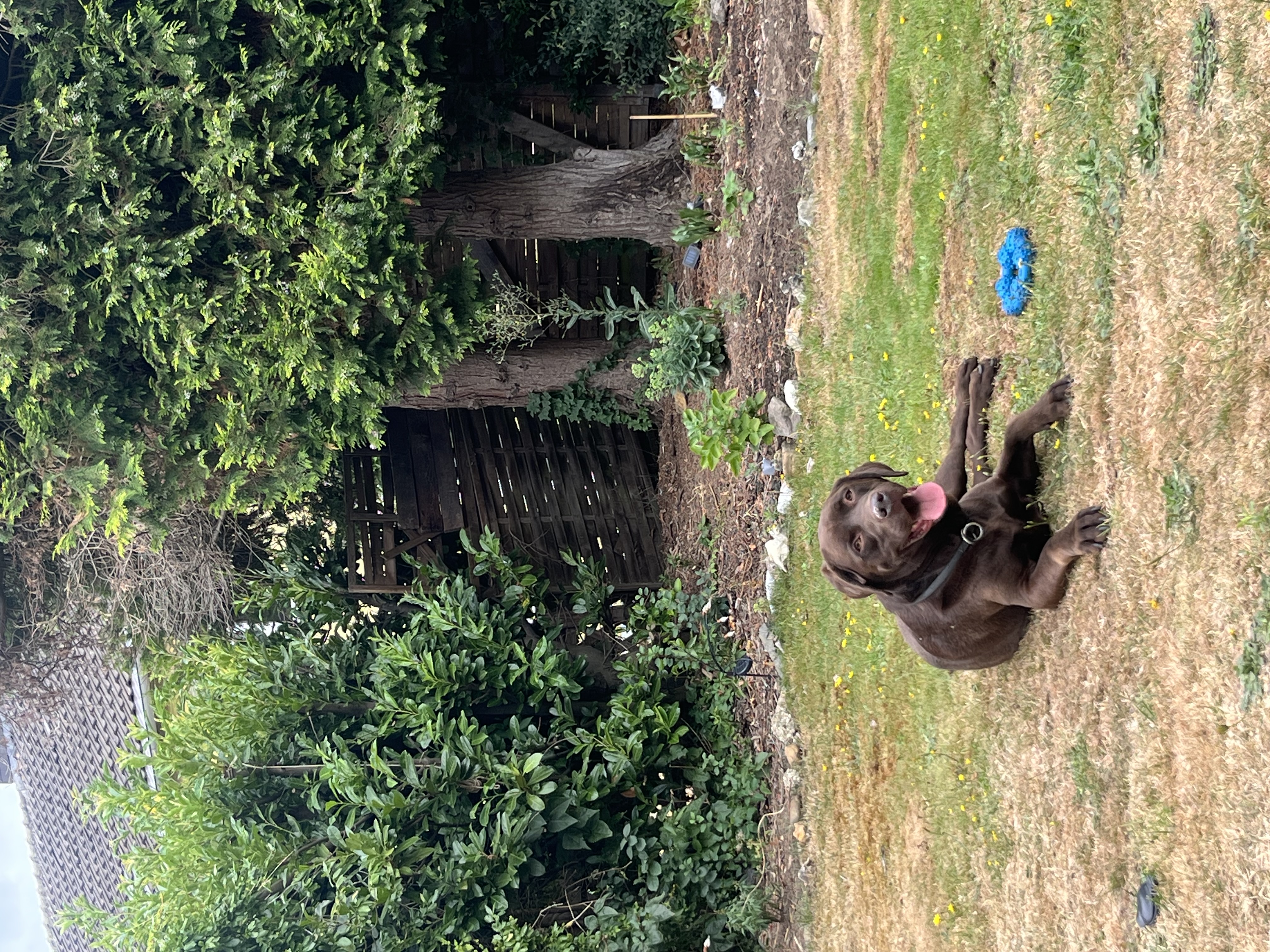 image-5