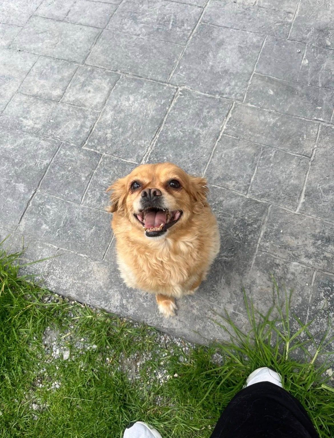 image-8