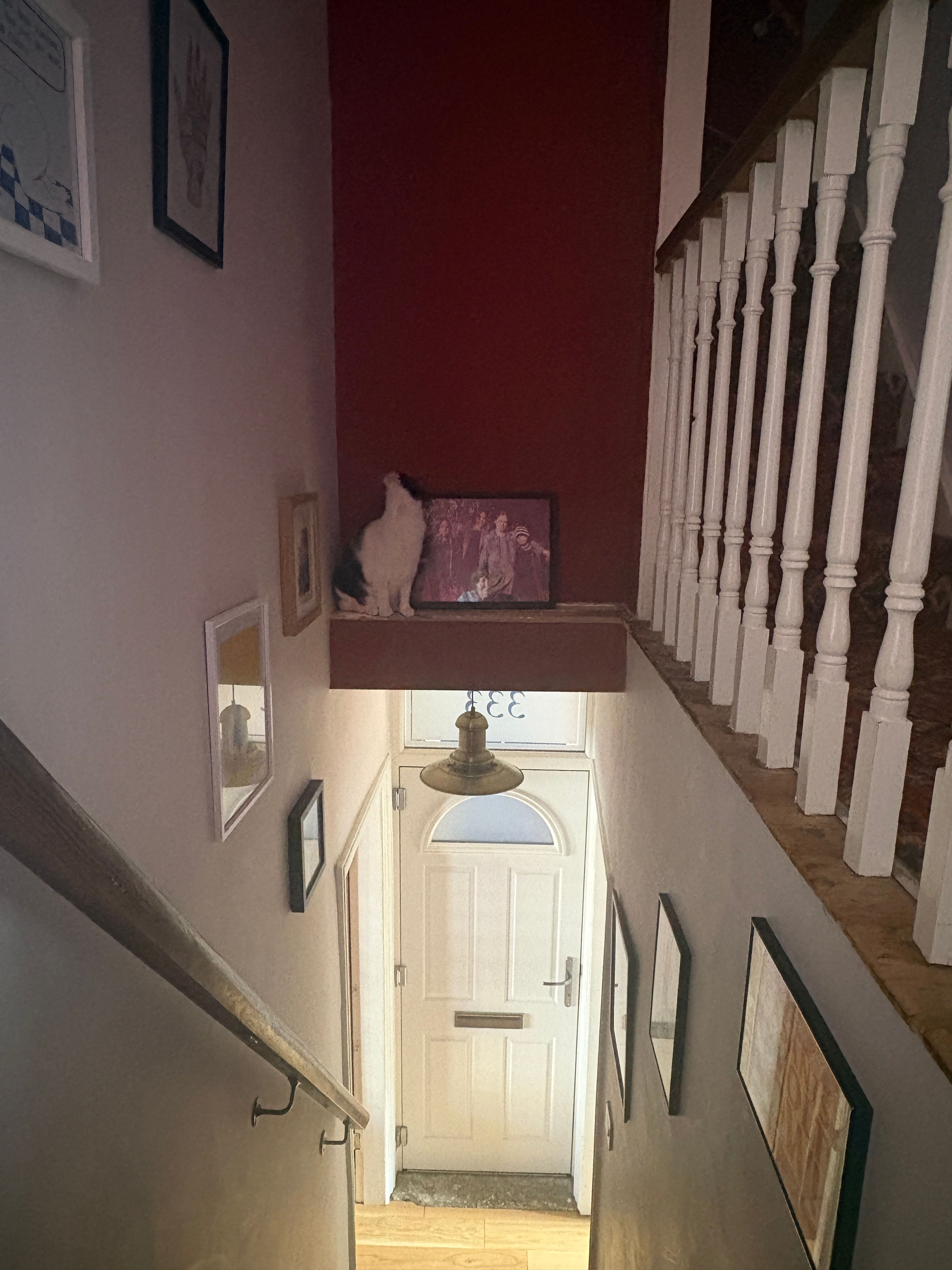 image-15