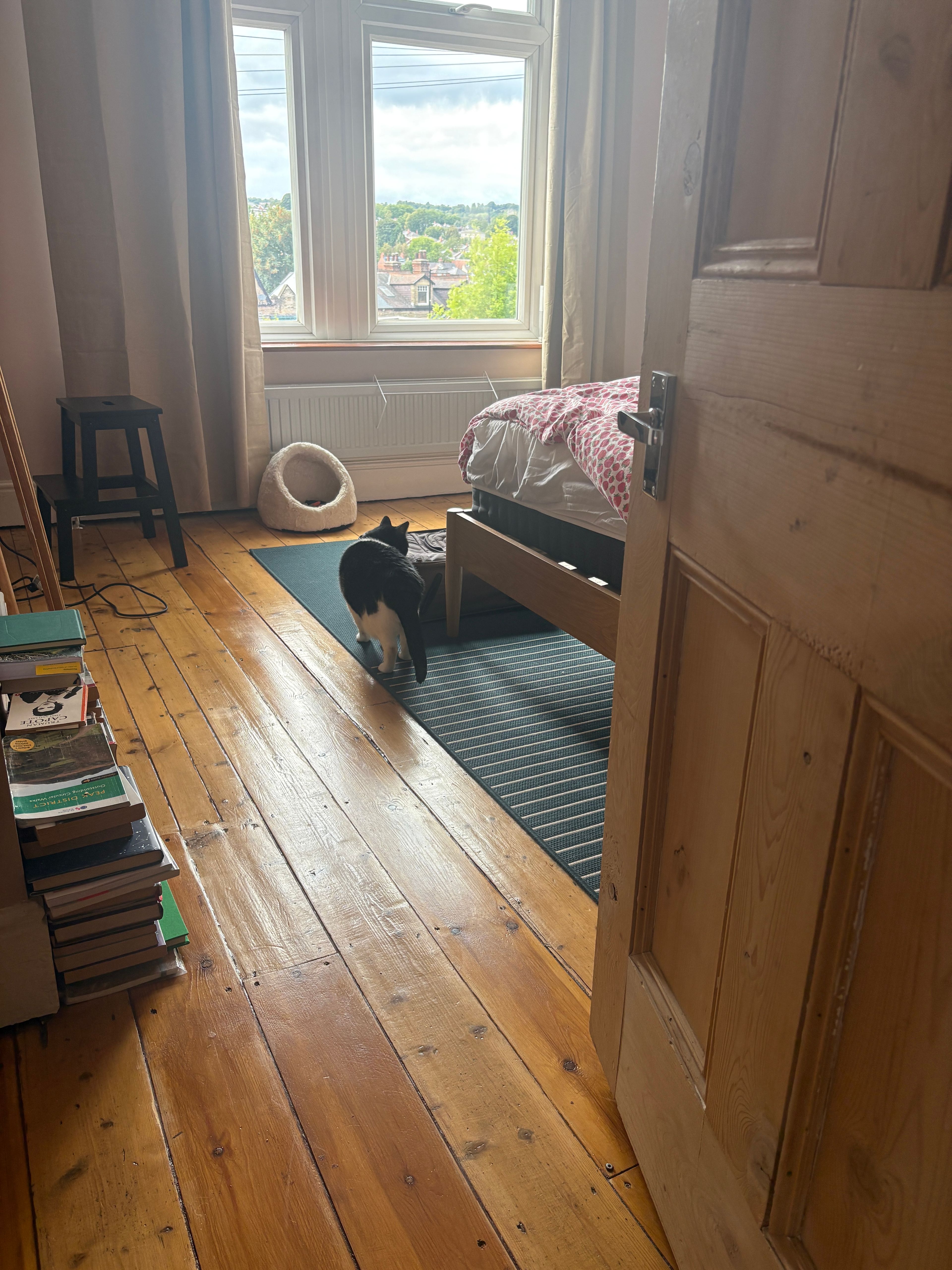image-19
