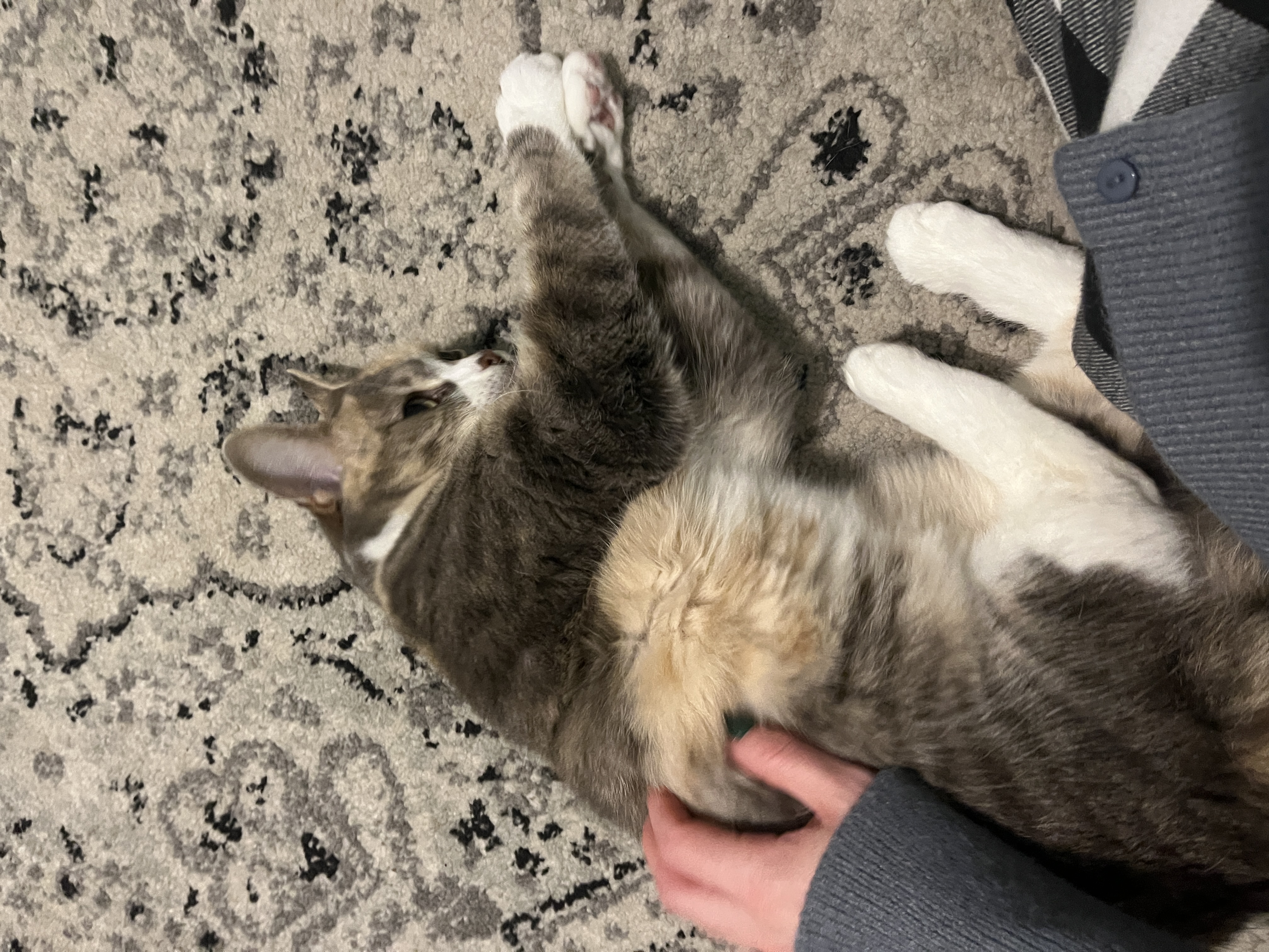 image-6