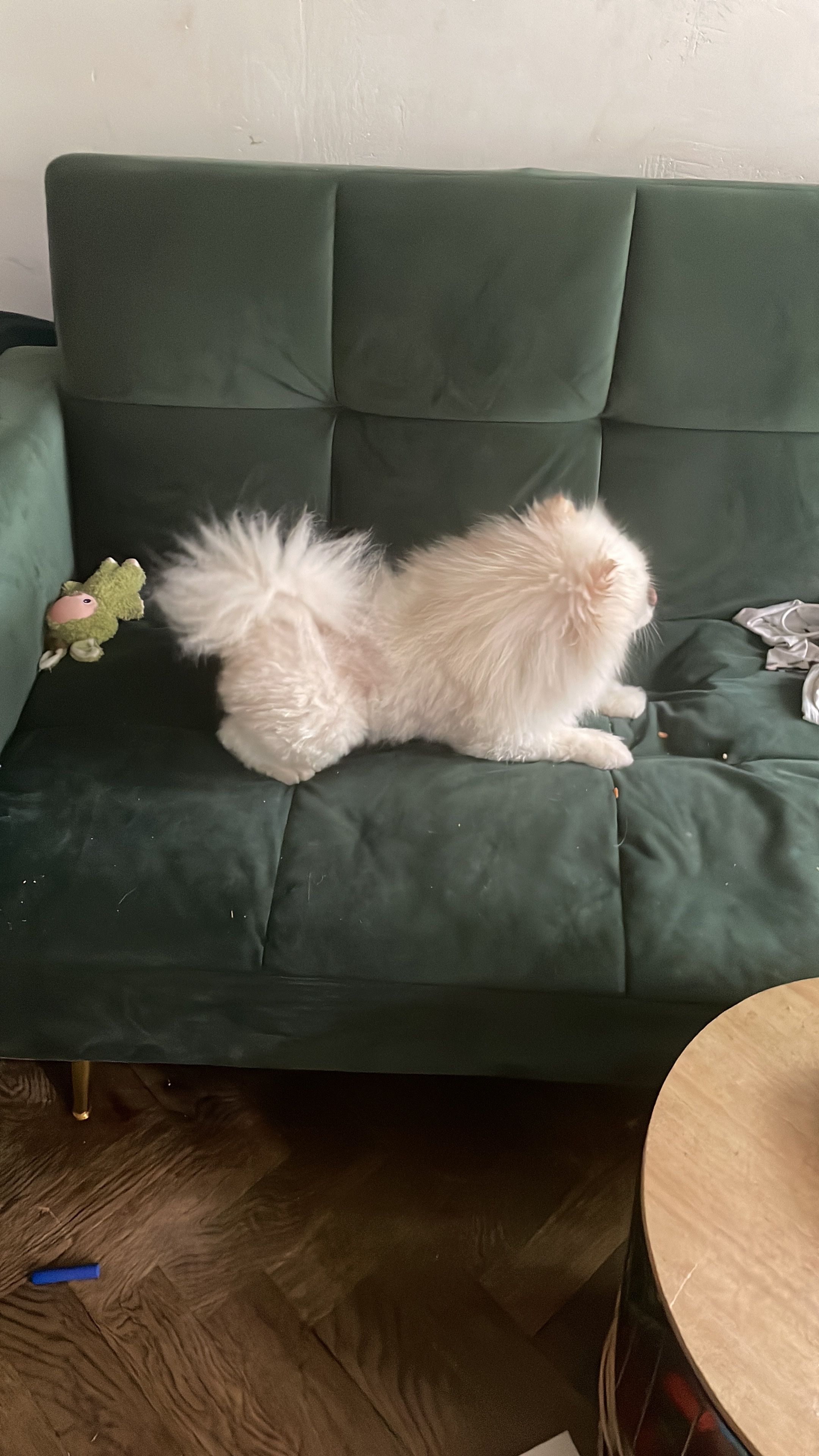 image-16
