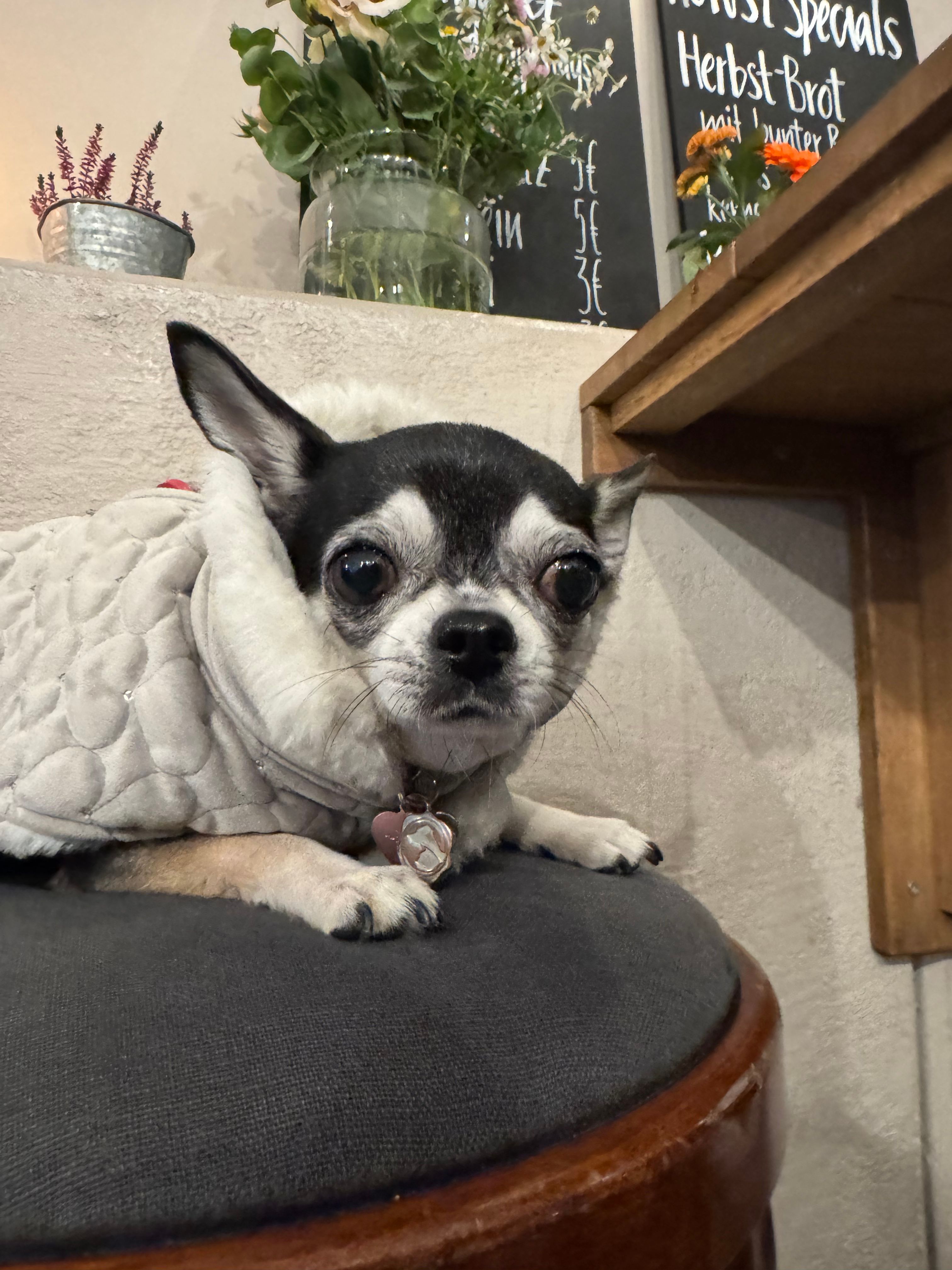 image-16