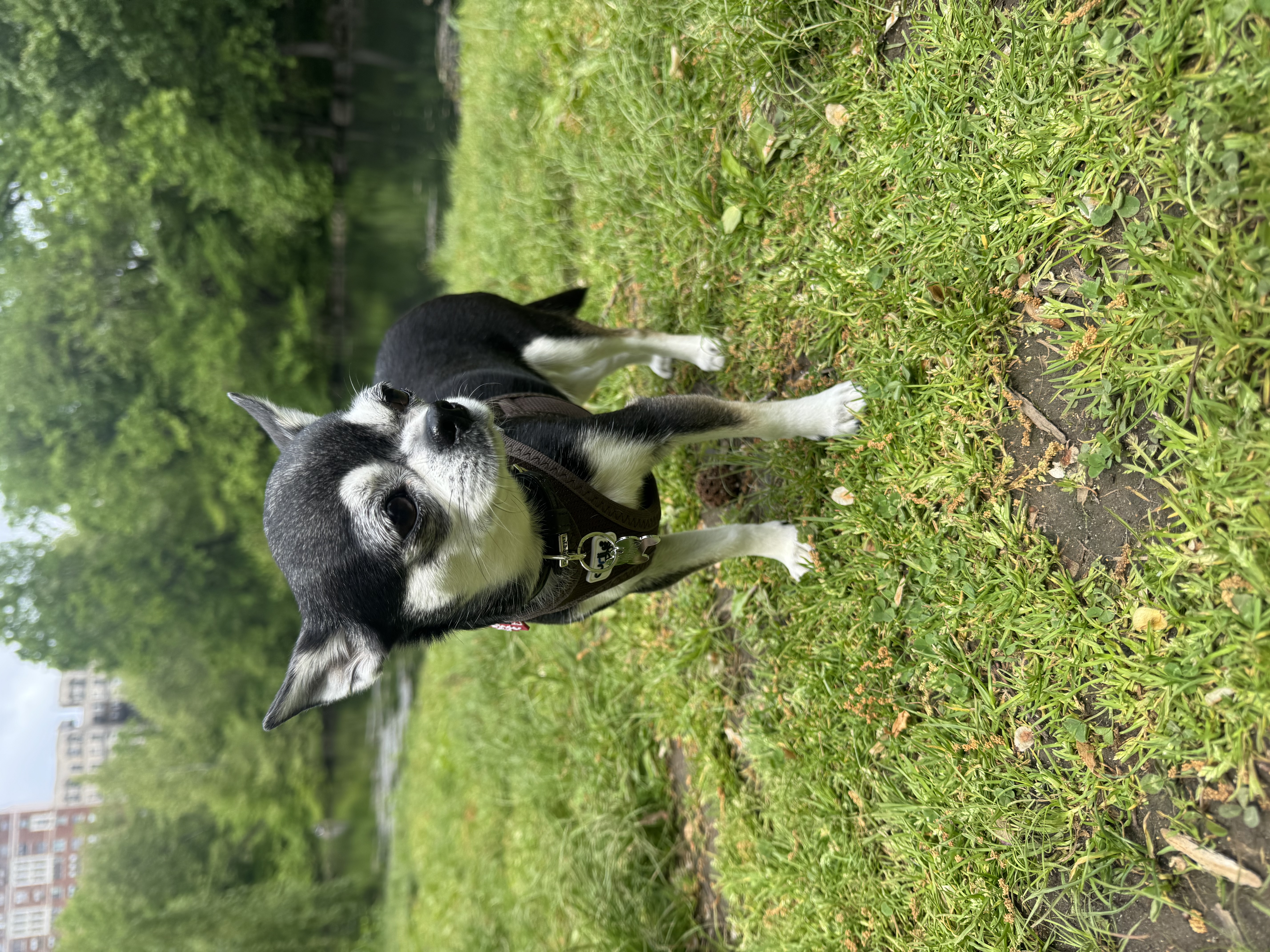 image-6
