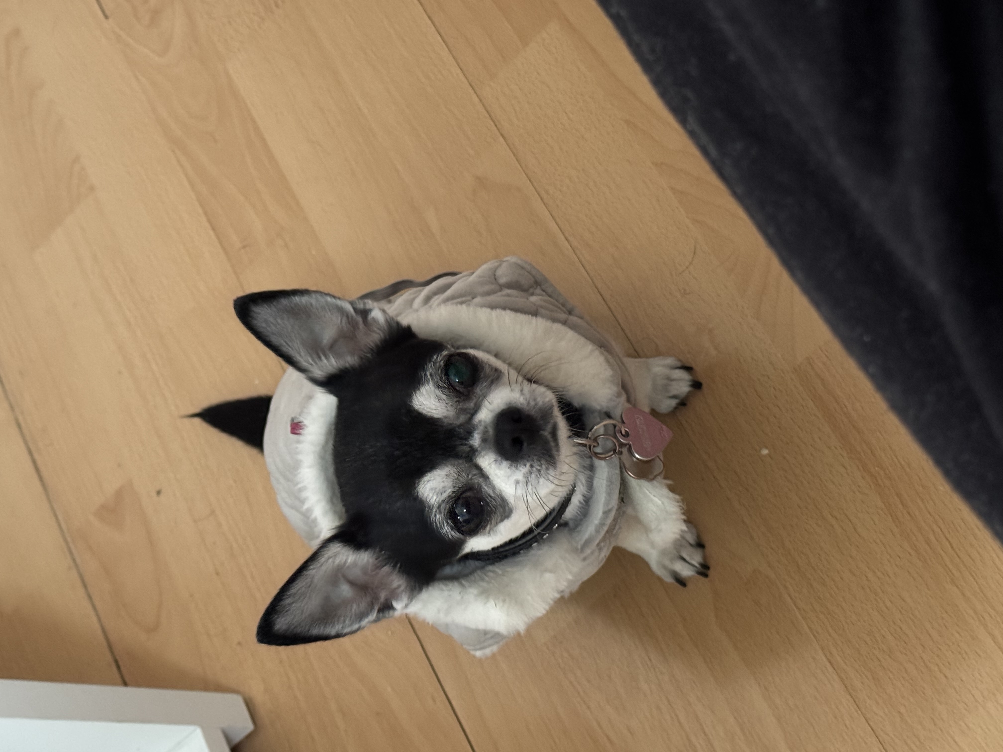 image-11
