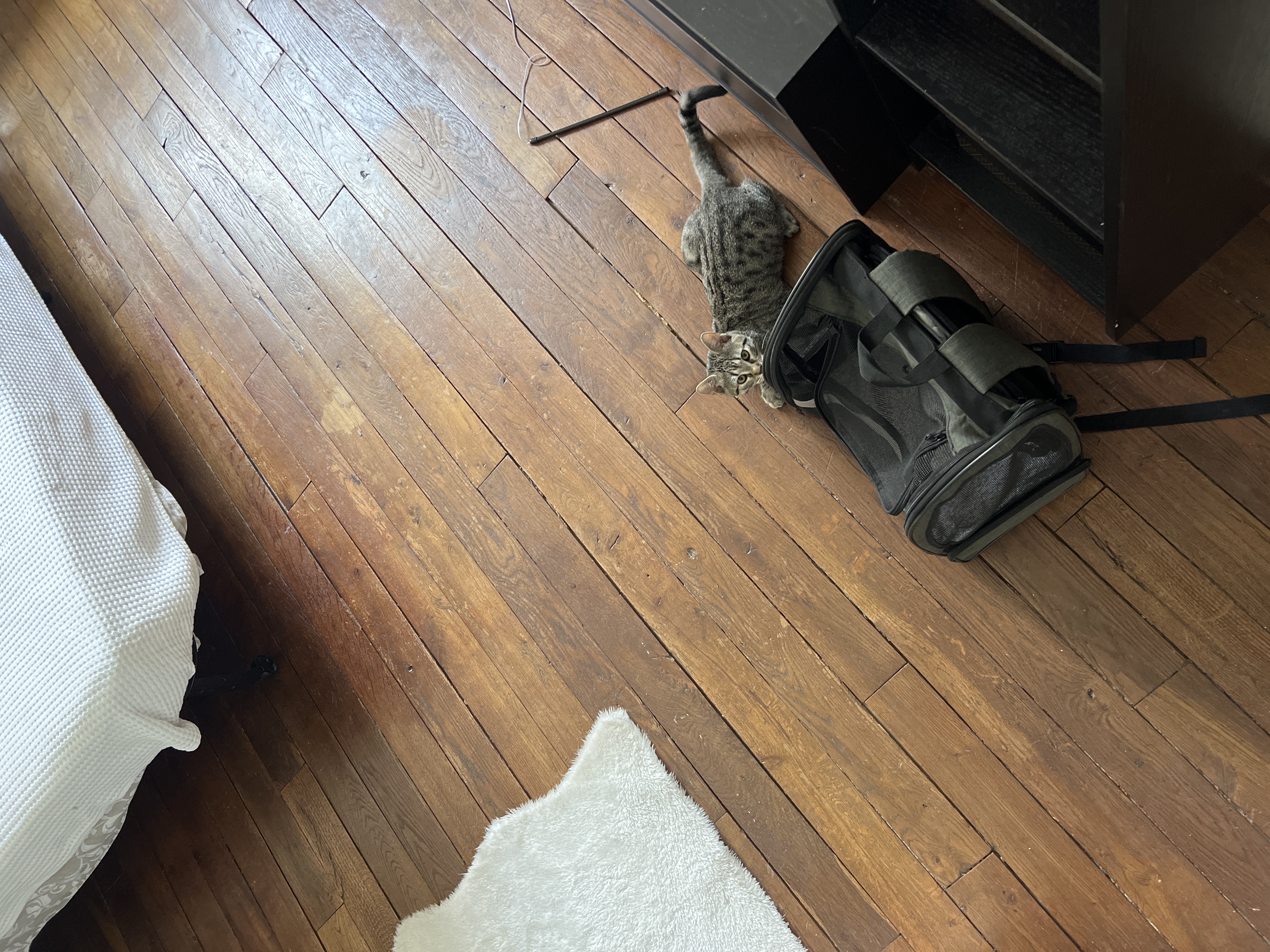 image-13