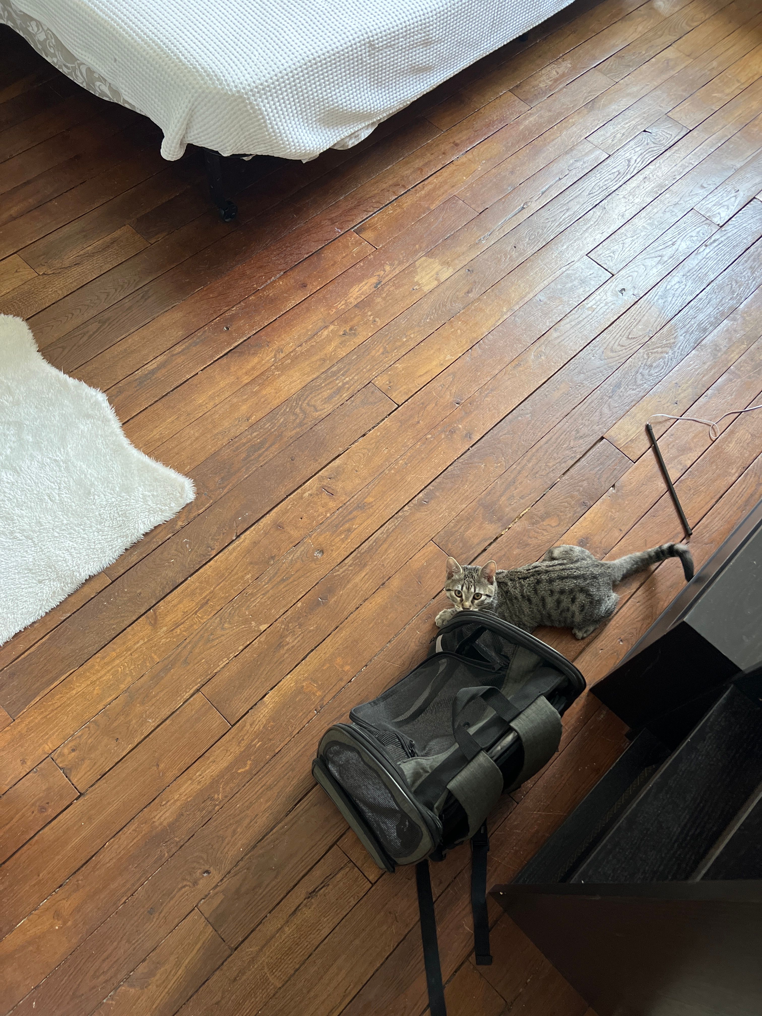 image-13