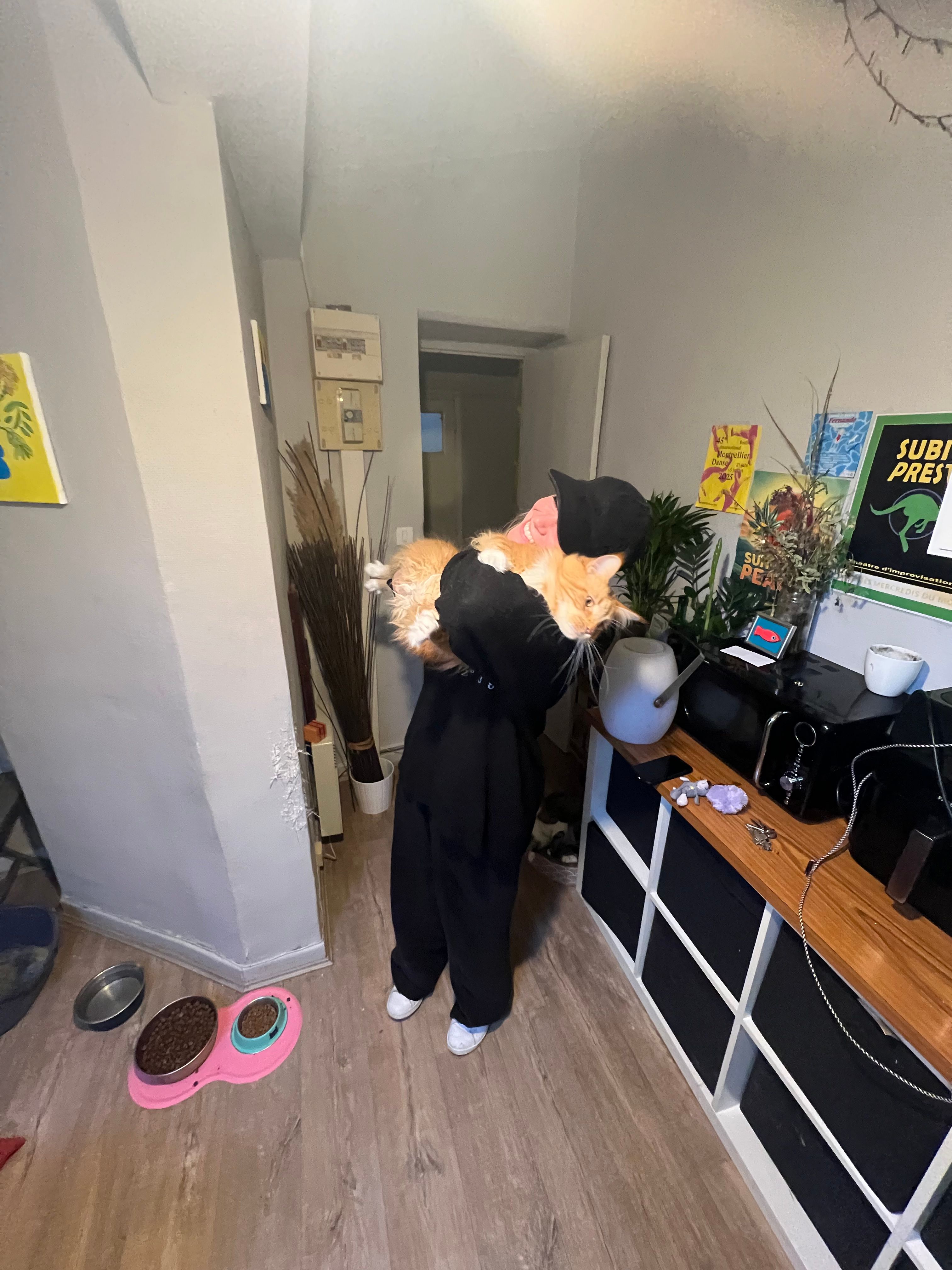 image-10