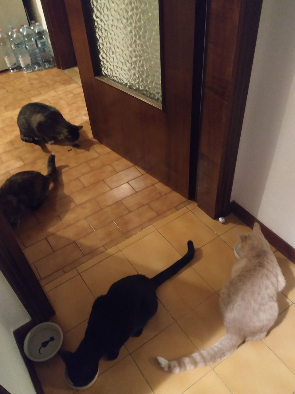 image-13