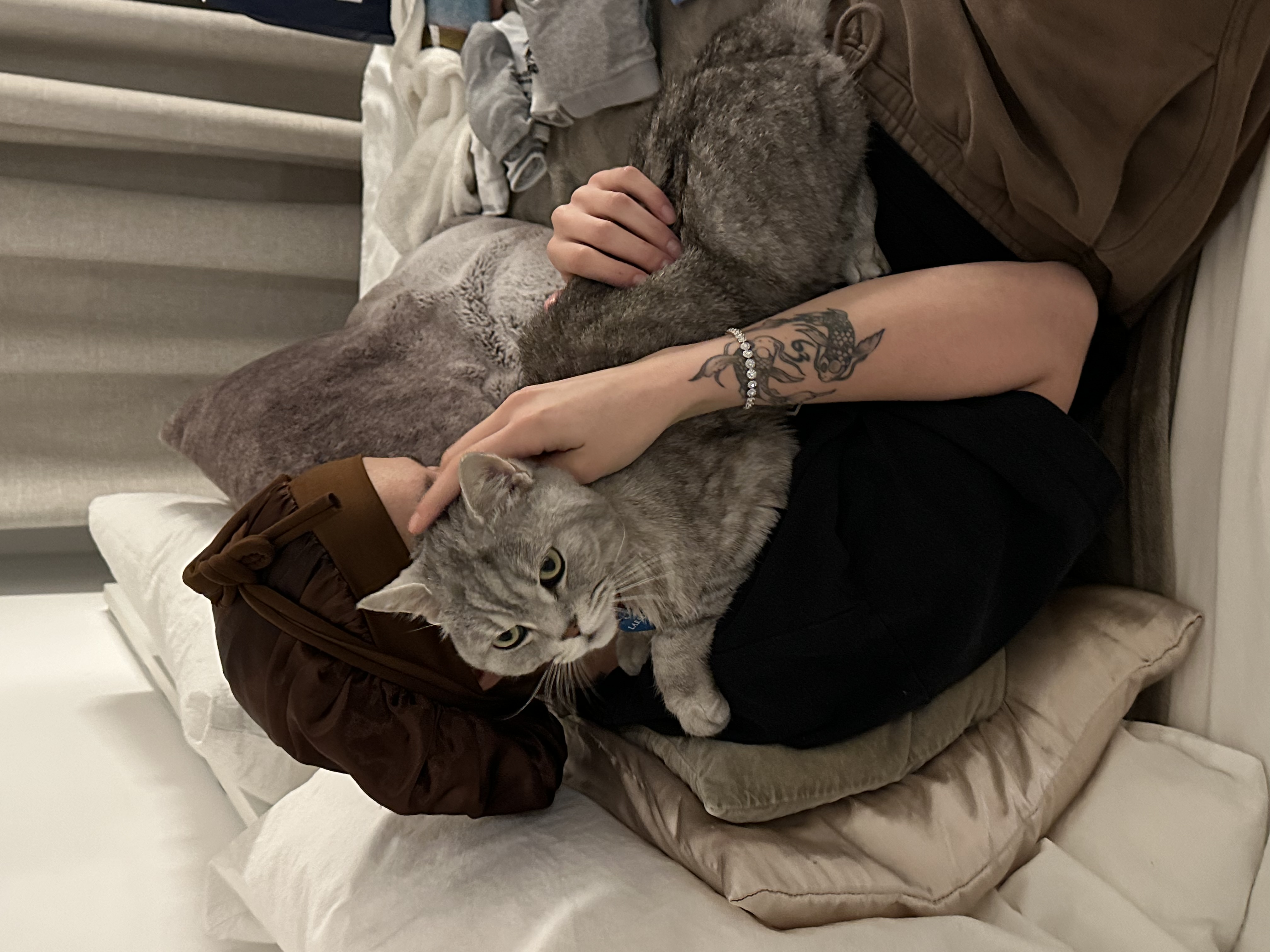 image-10