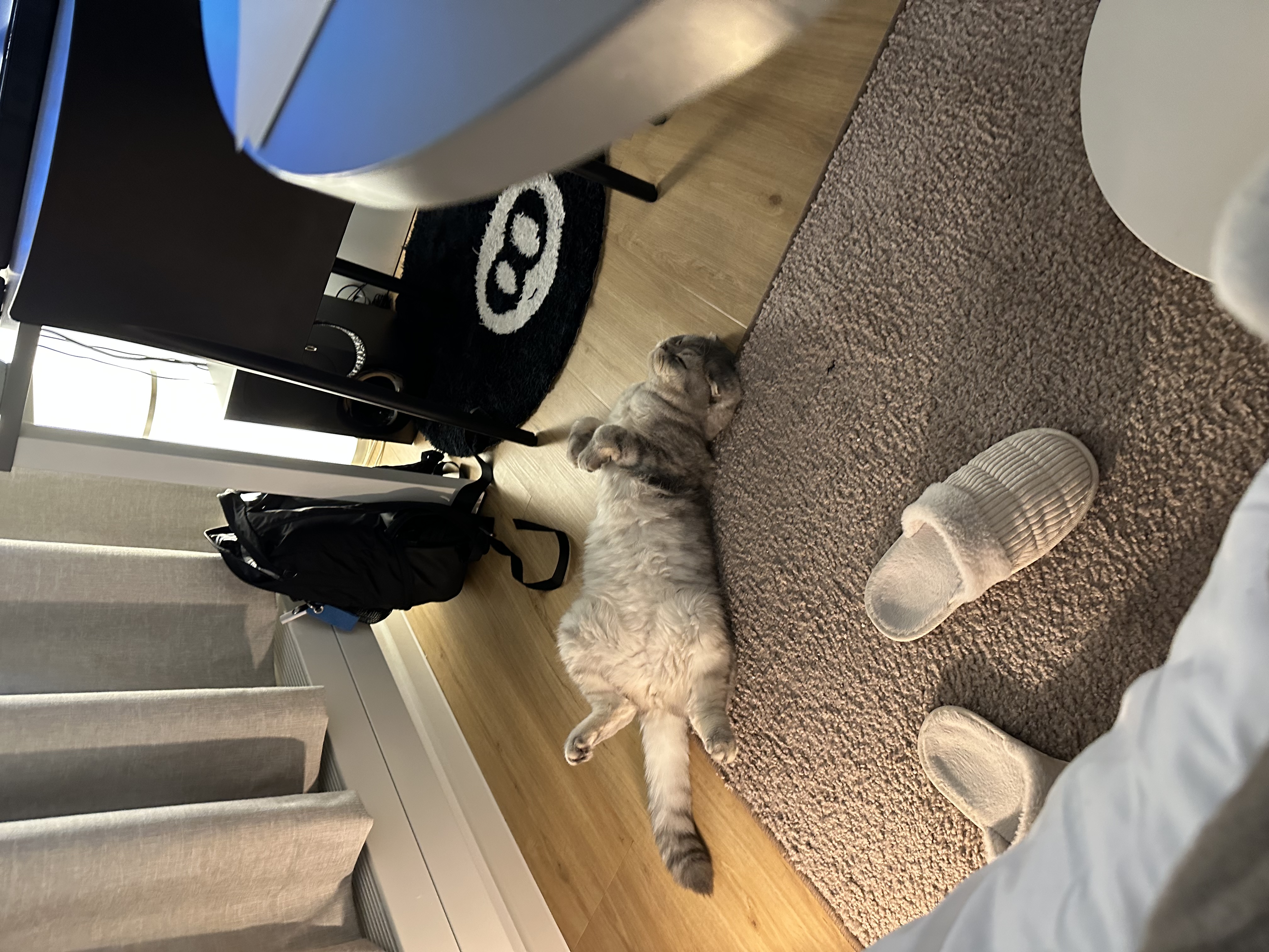 image-5