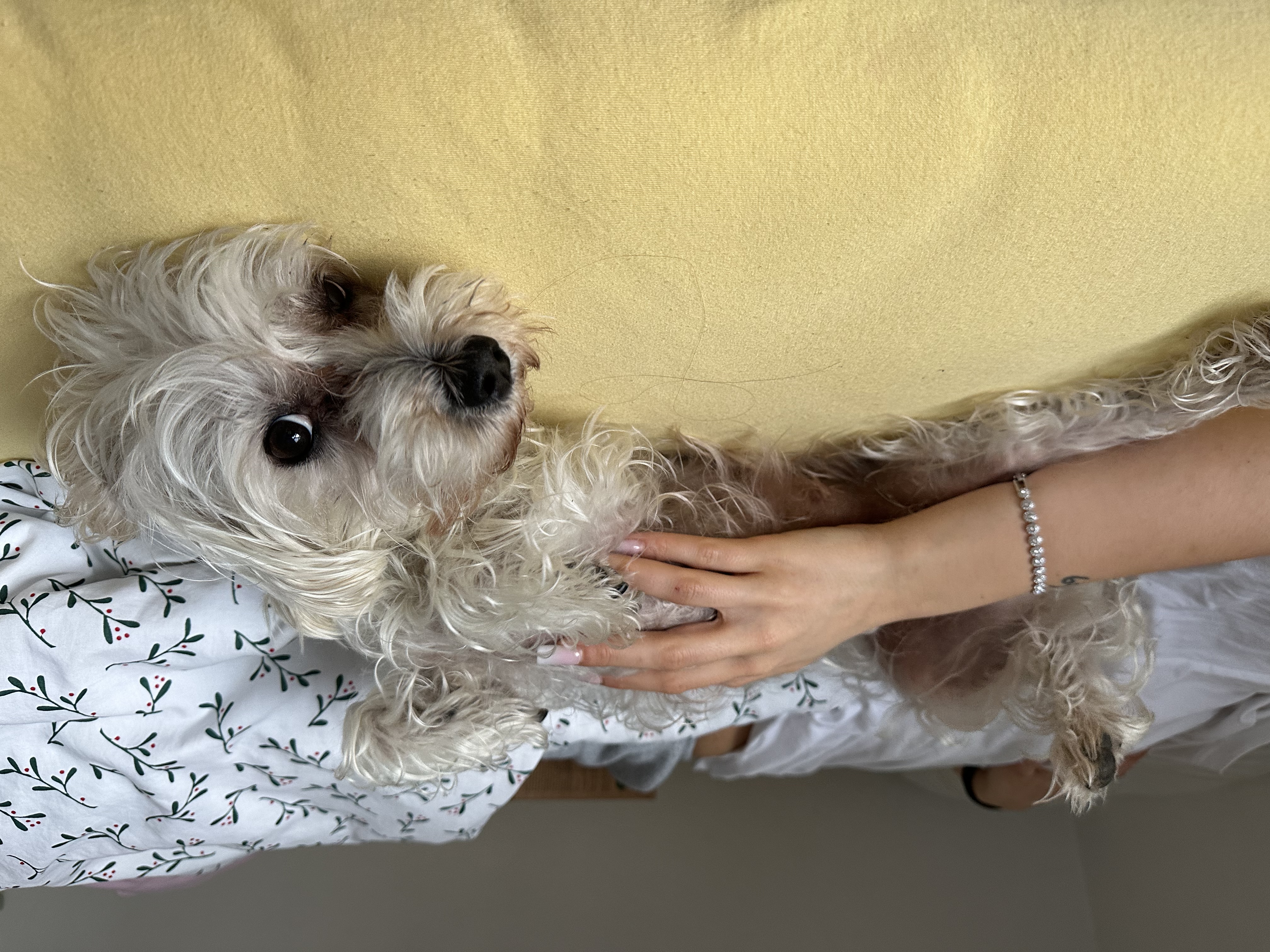 image-6