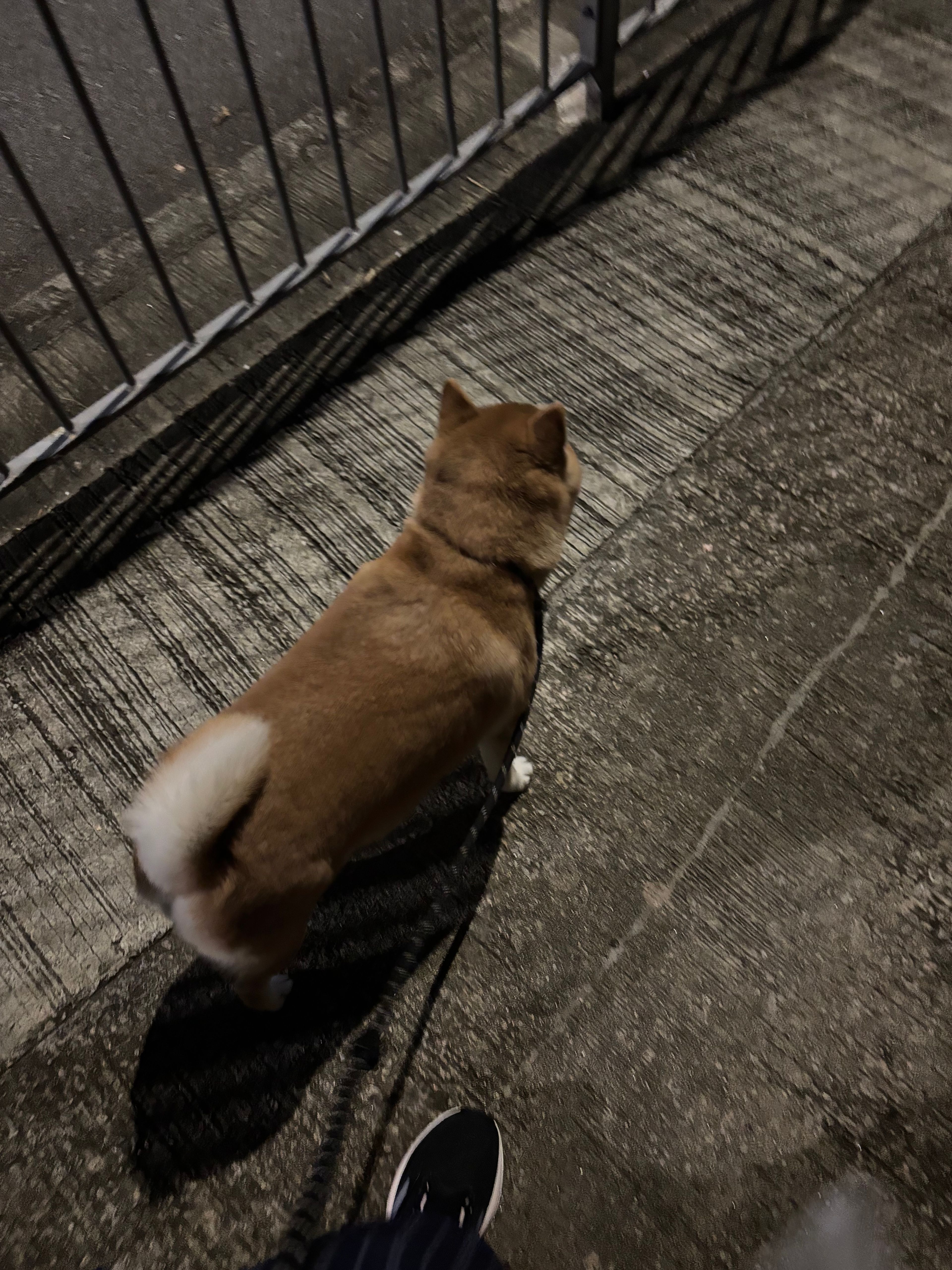 image-7
