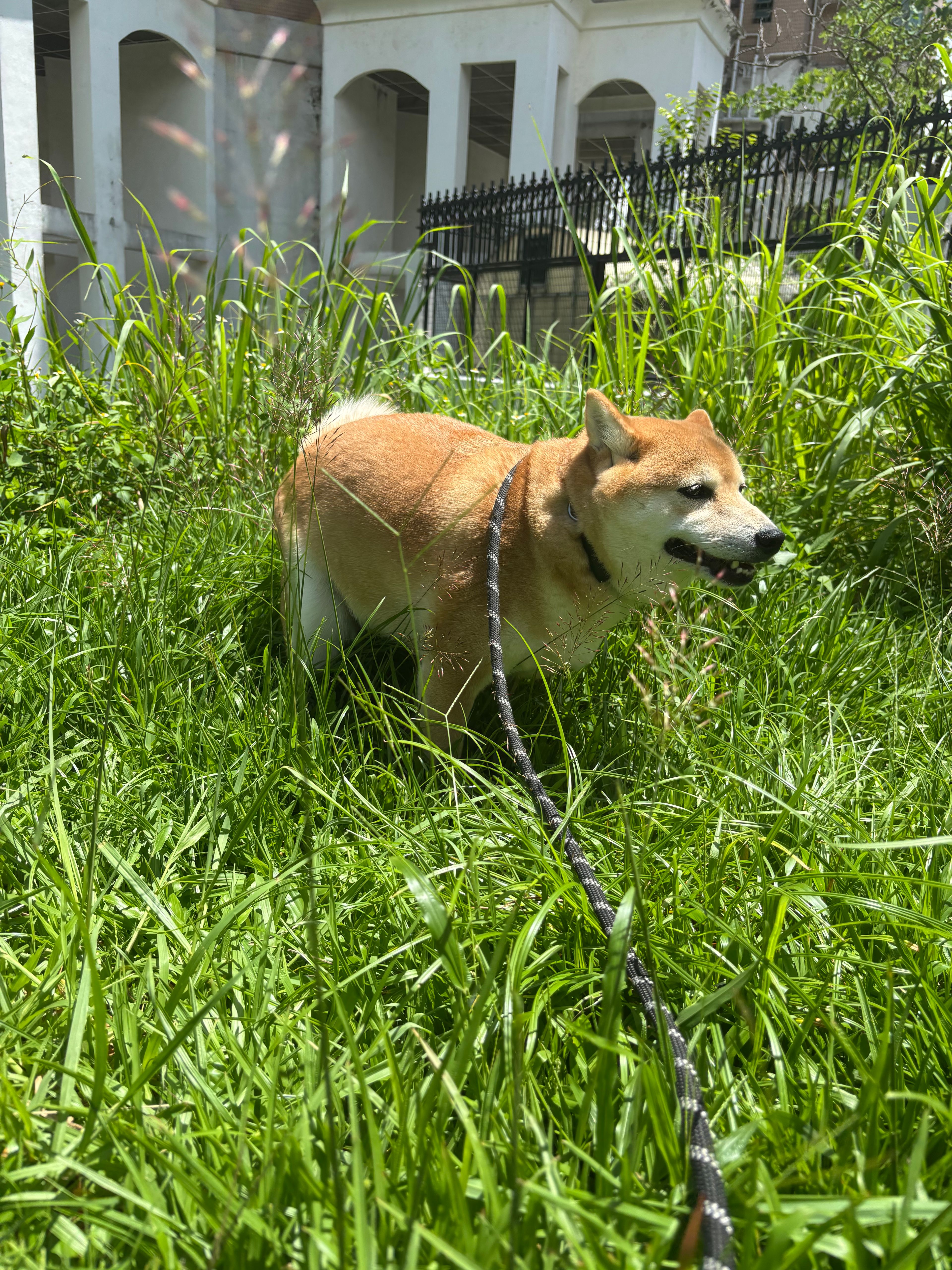 image-2