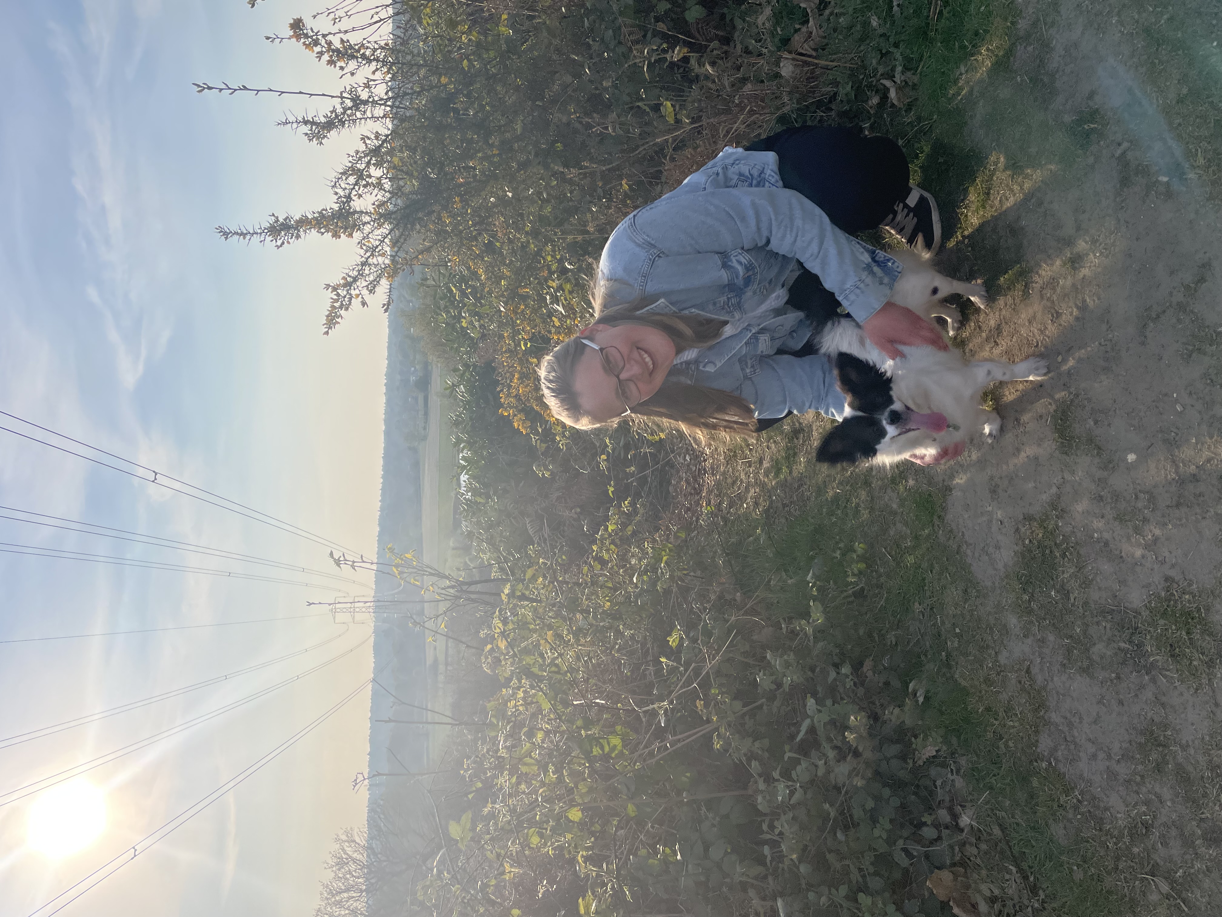 image-4