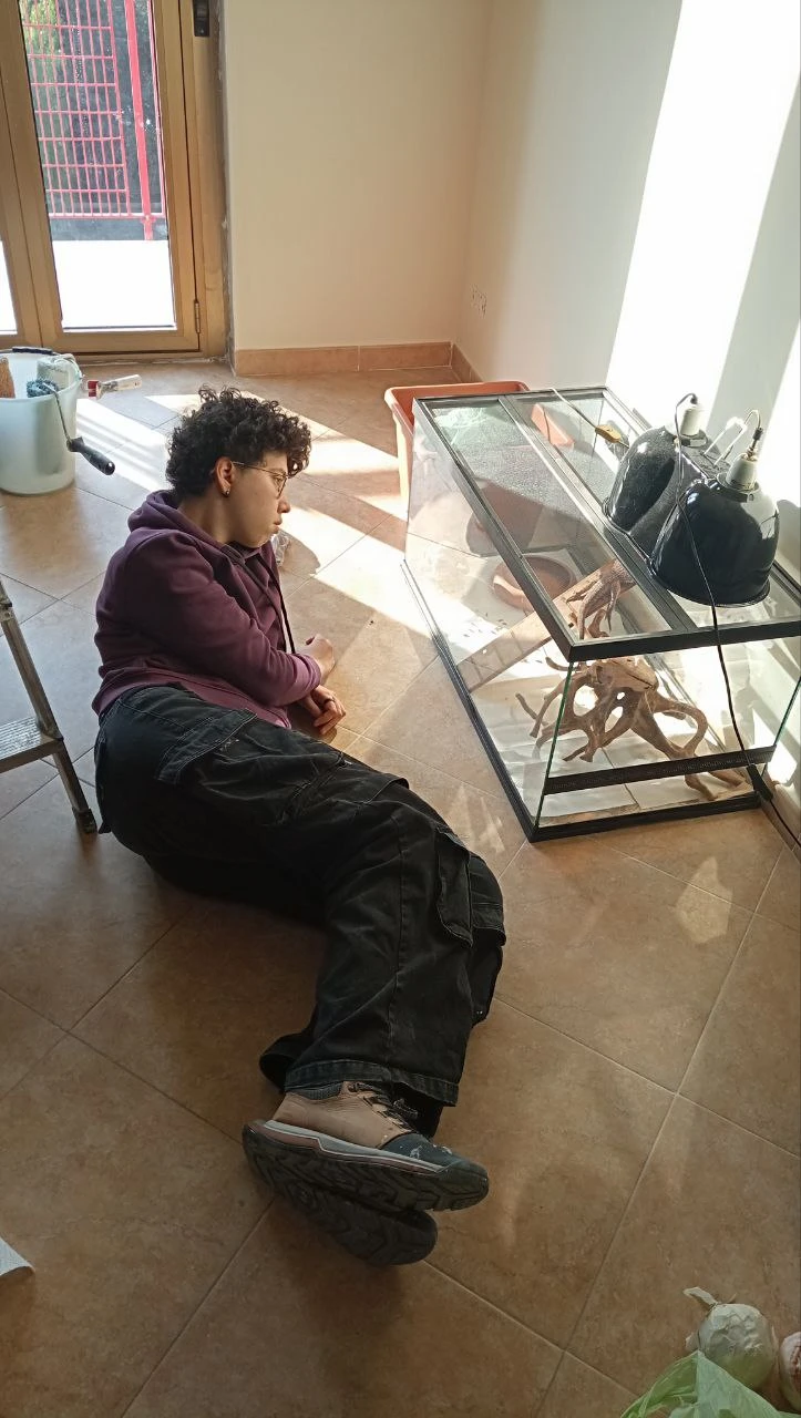 image-2