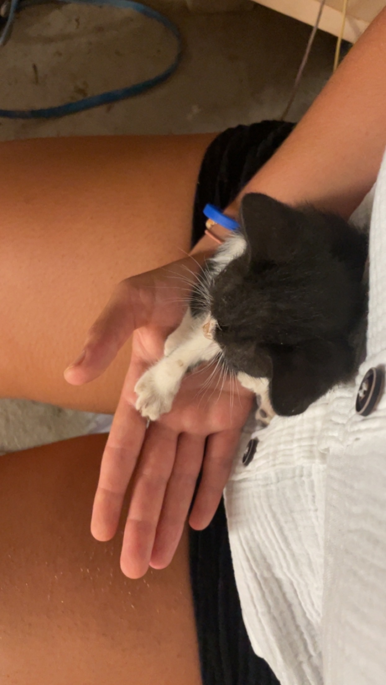 image-6