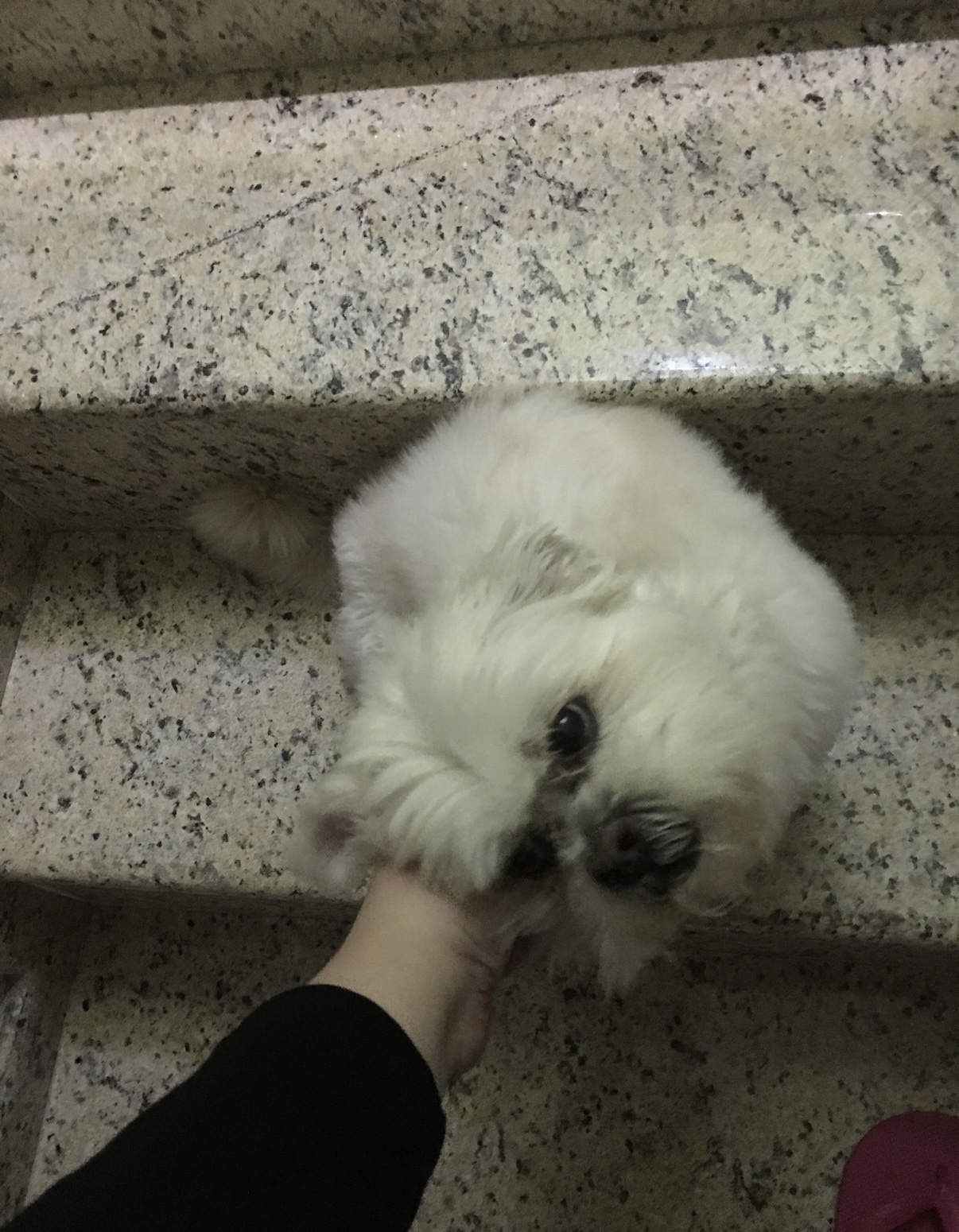image-10
