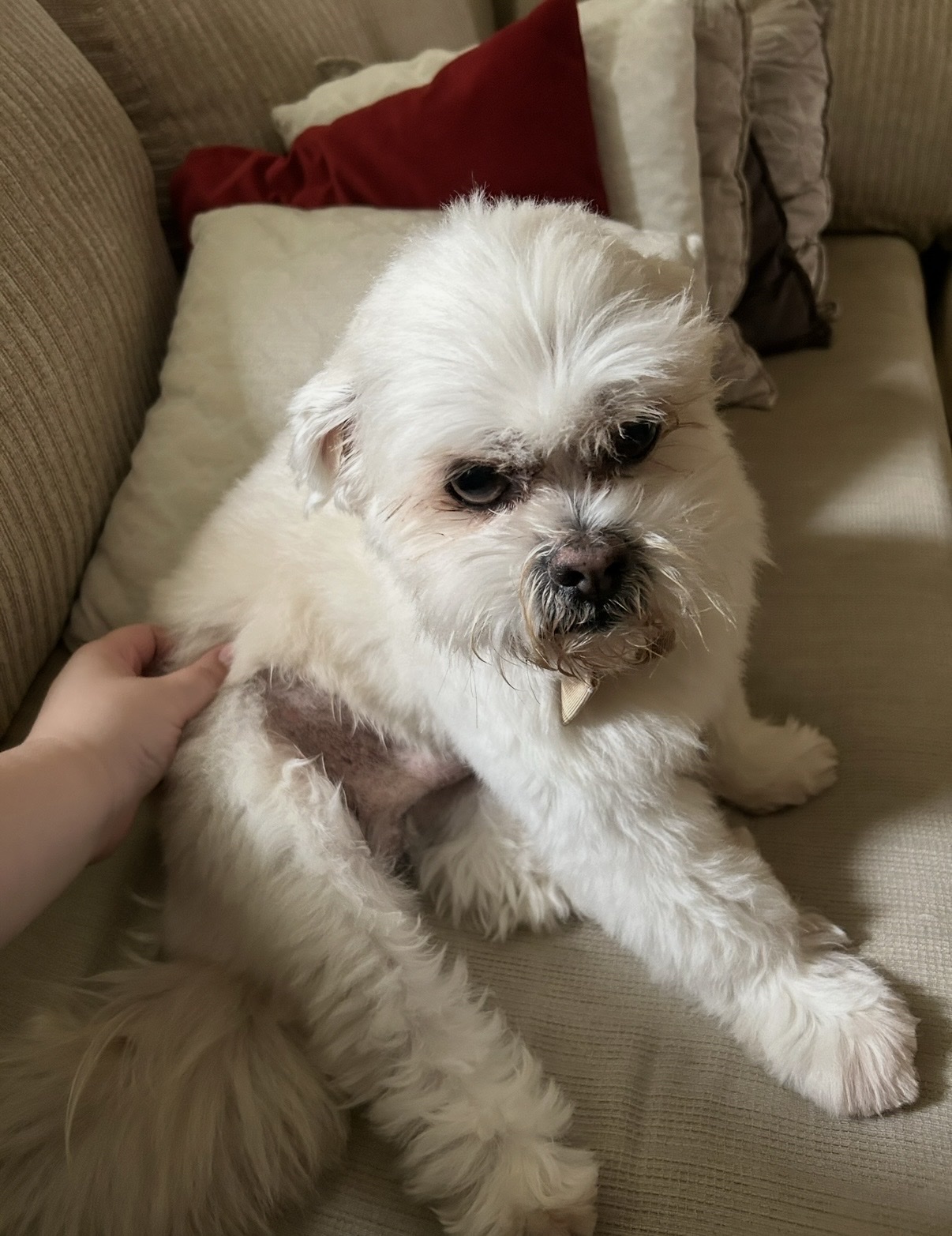 image-9