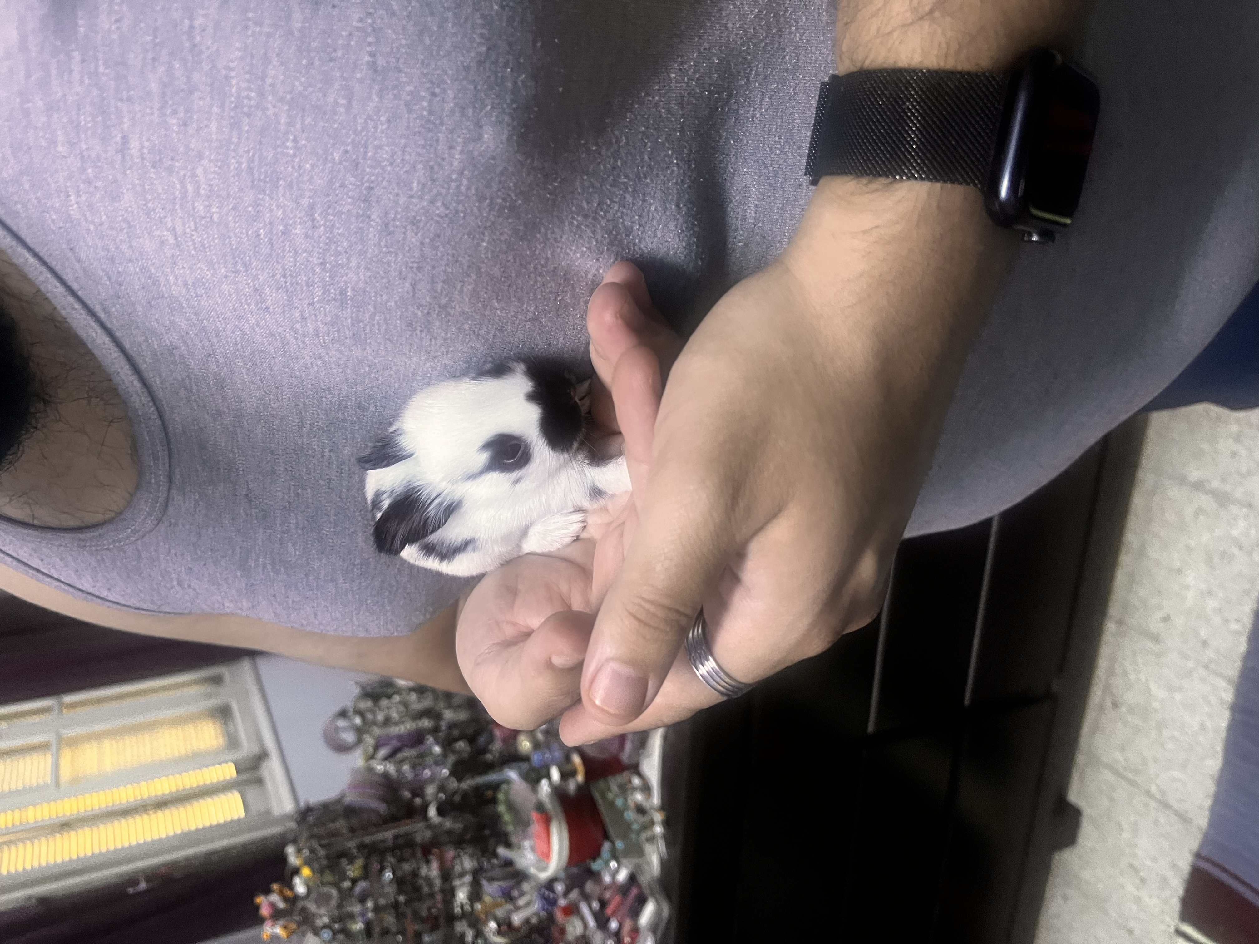 image-4