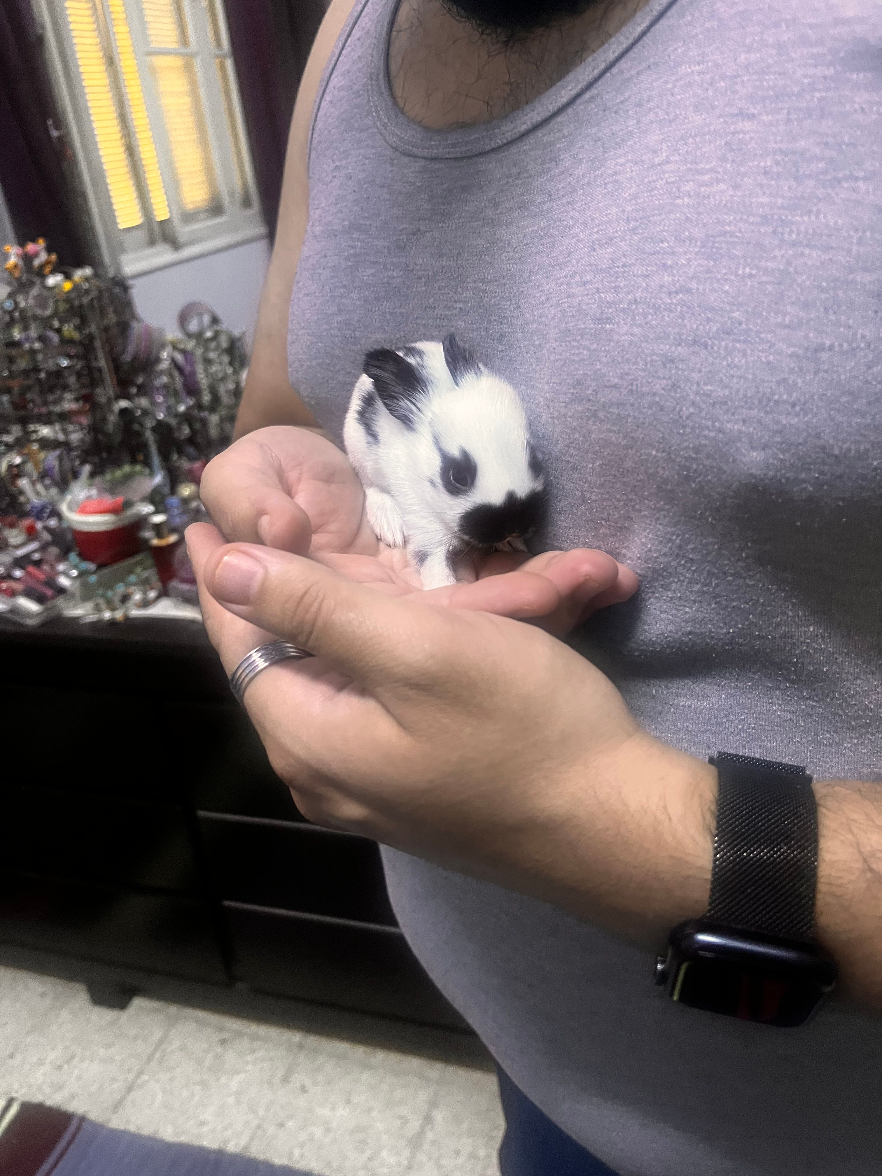 image-4
