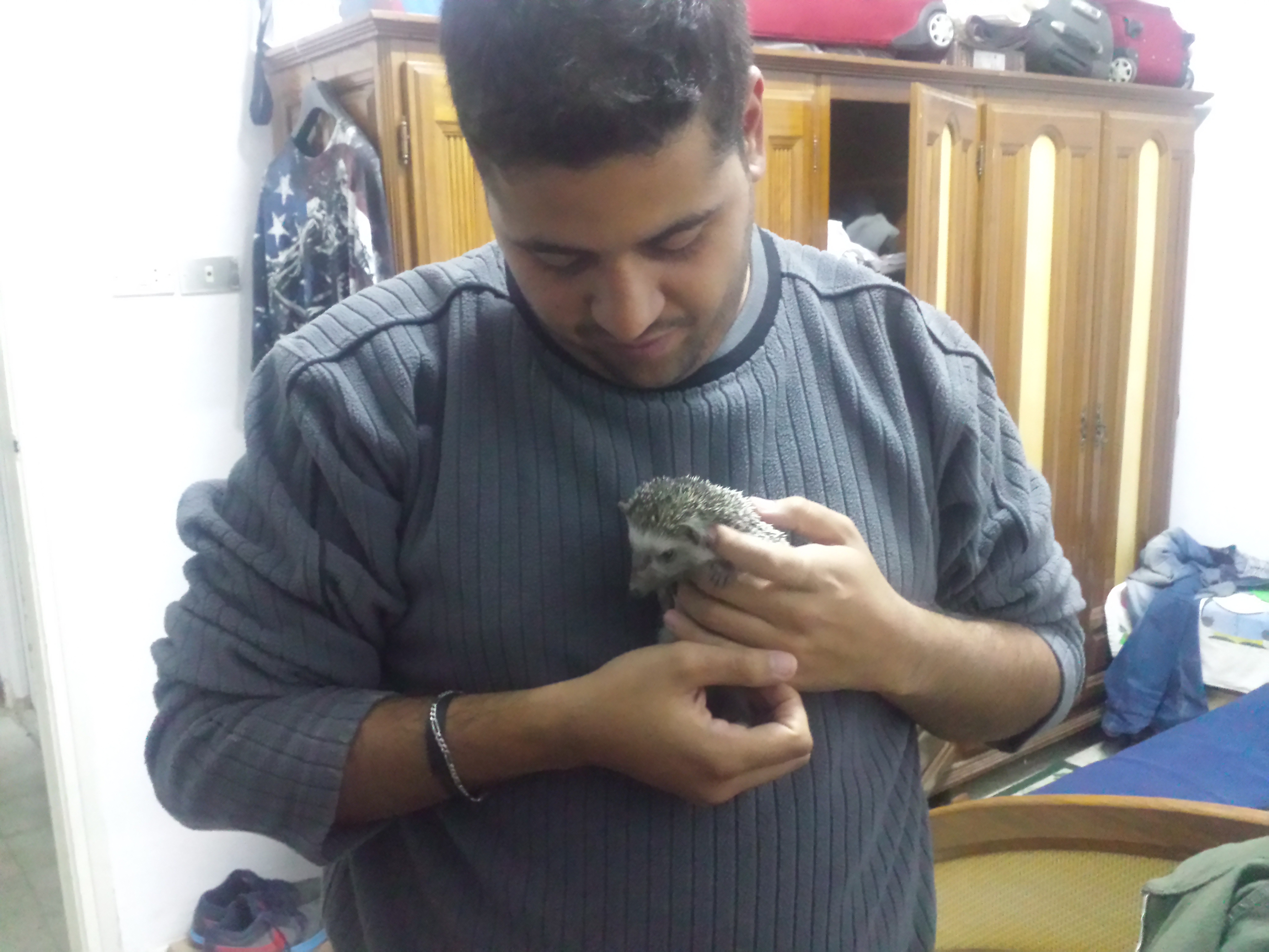 image-5